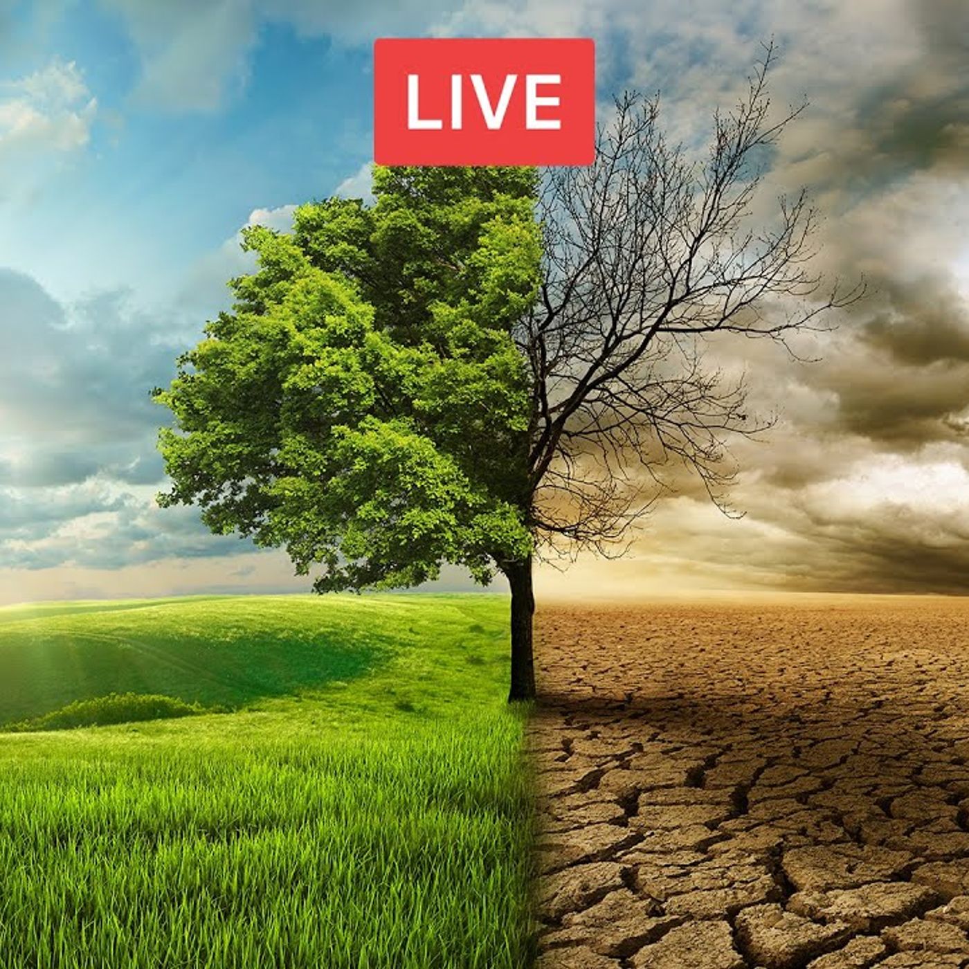 La cura della terra