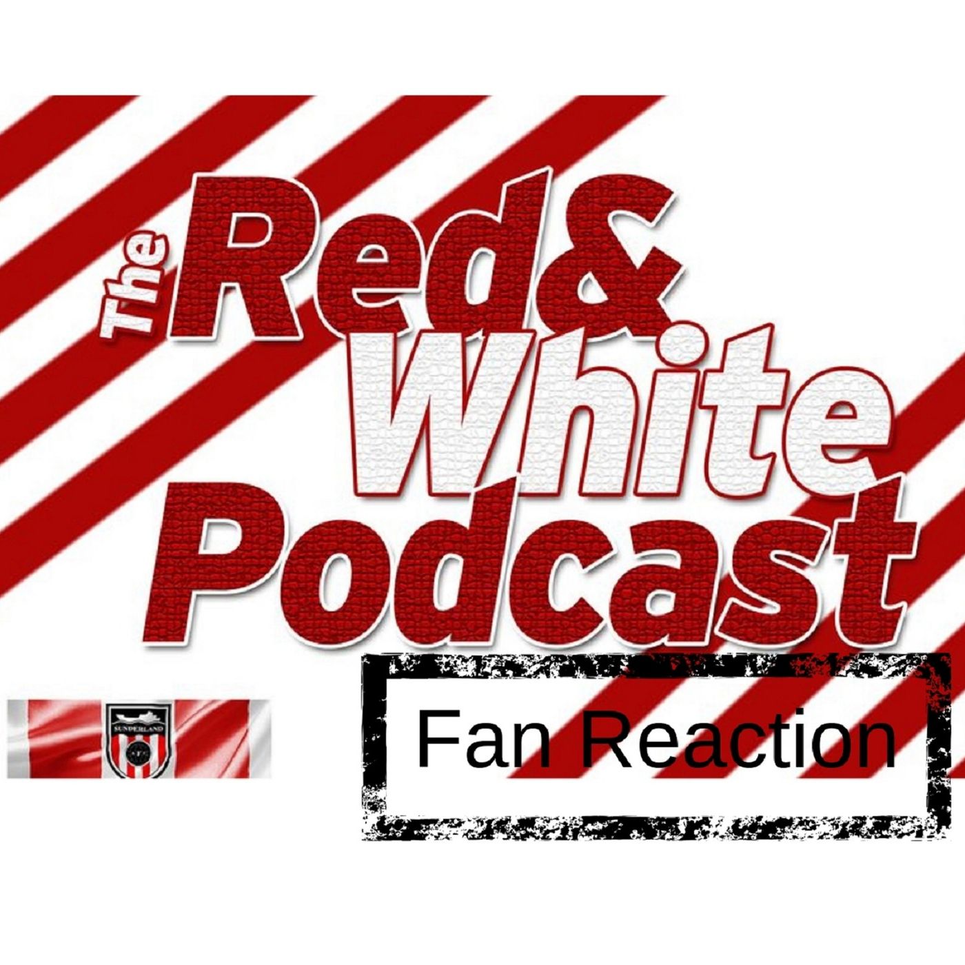 Fan reaction - Sunderland beat Bristol Rovers and increase promotion chances