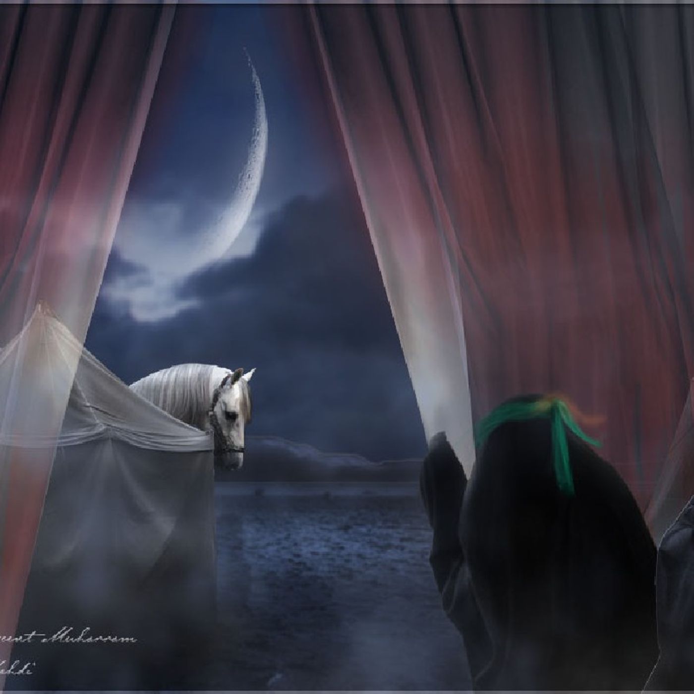 Maisam Jaffry\'s tracks