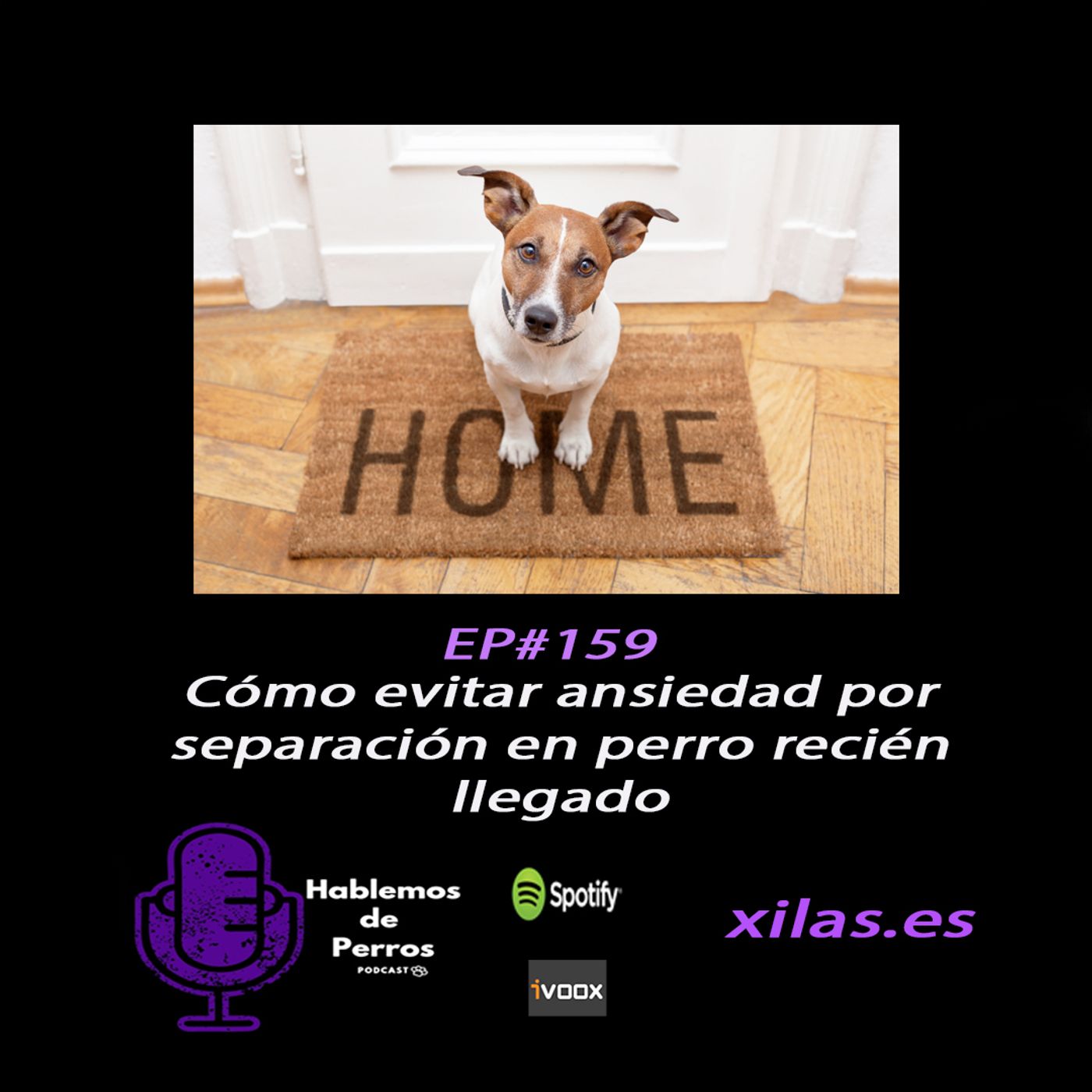 Hablemos de perros