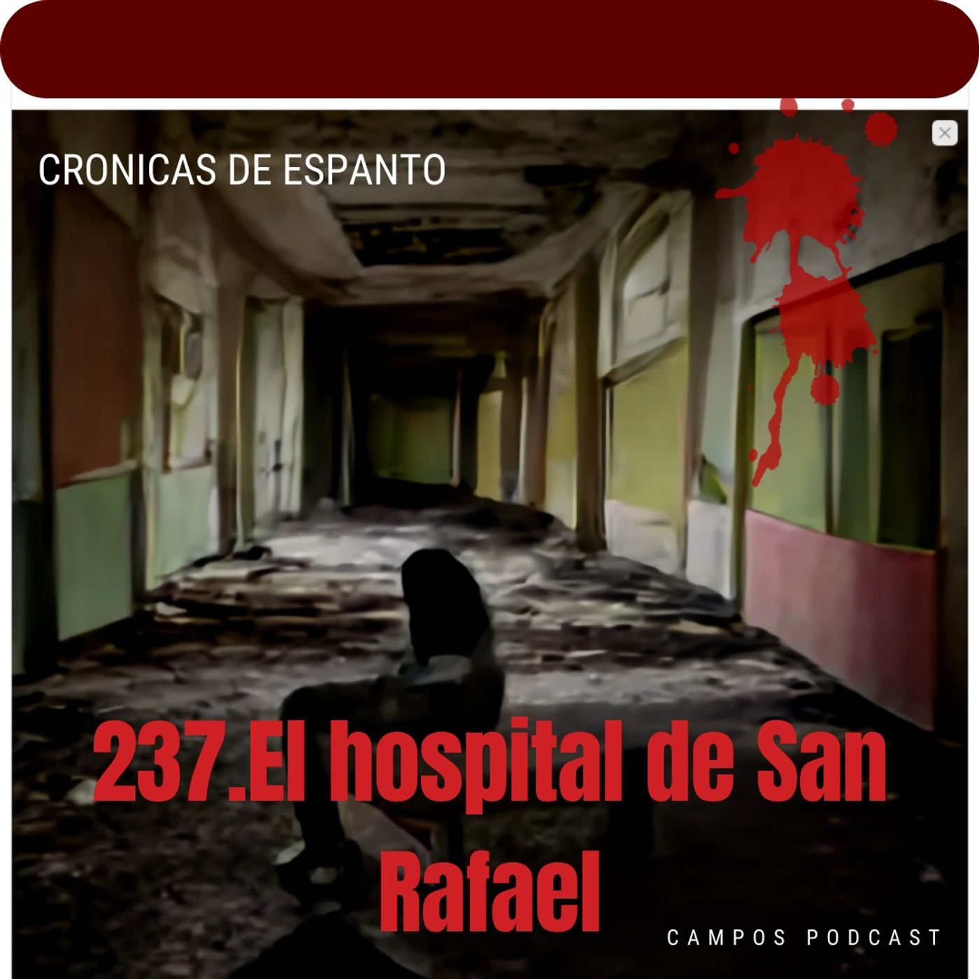 237. El Hospital San Rafael.
