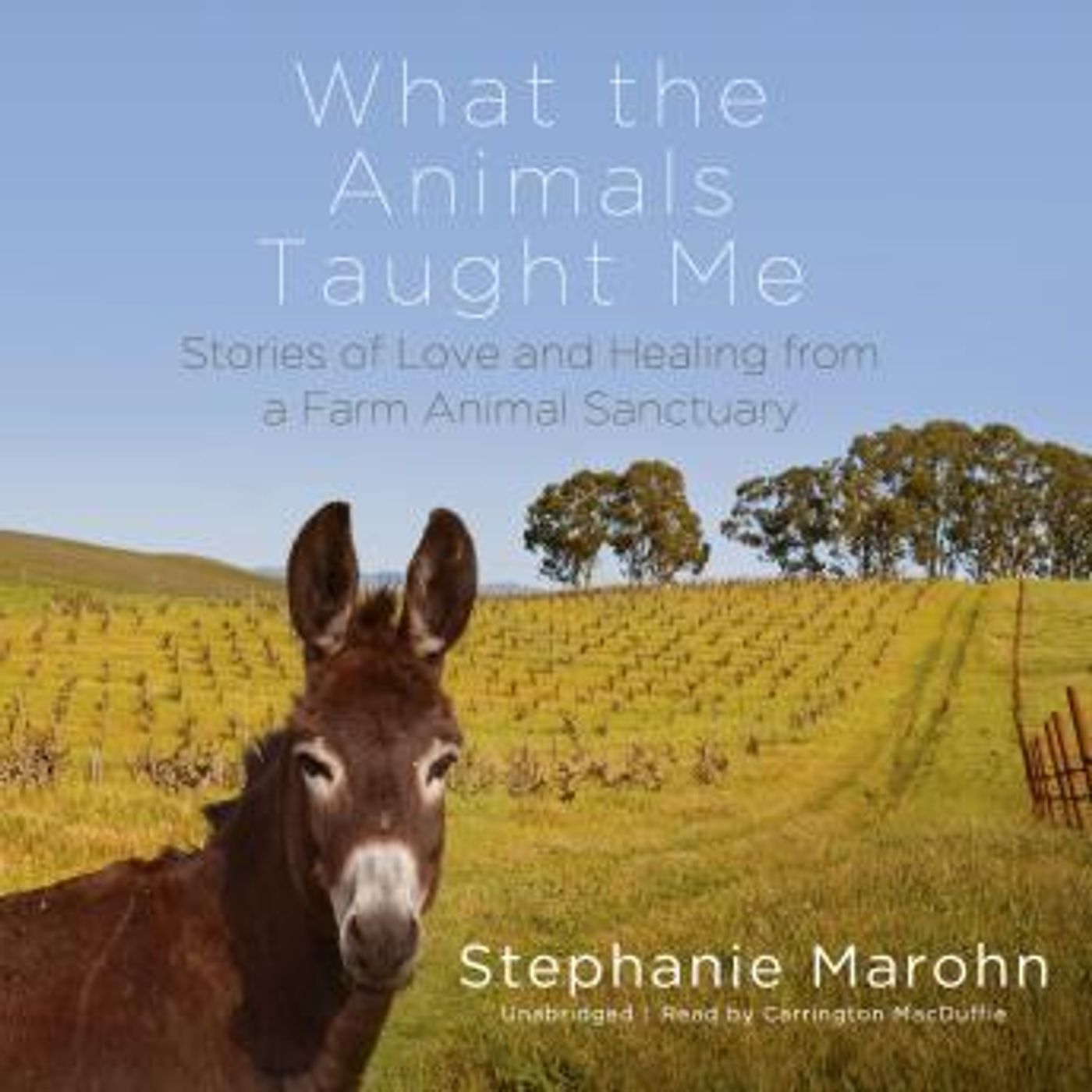 What the Animals Taught Me: Stories of Love and Healing from a Farm Animal Sanctuary by Stephanie Marohn episode artwork