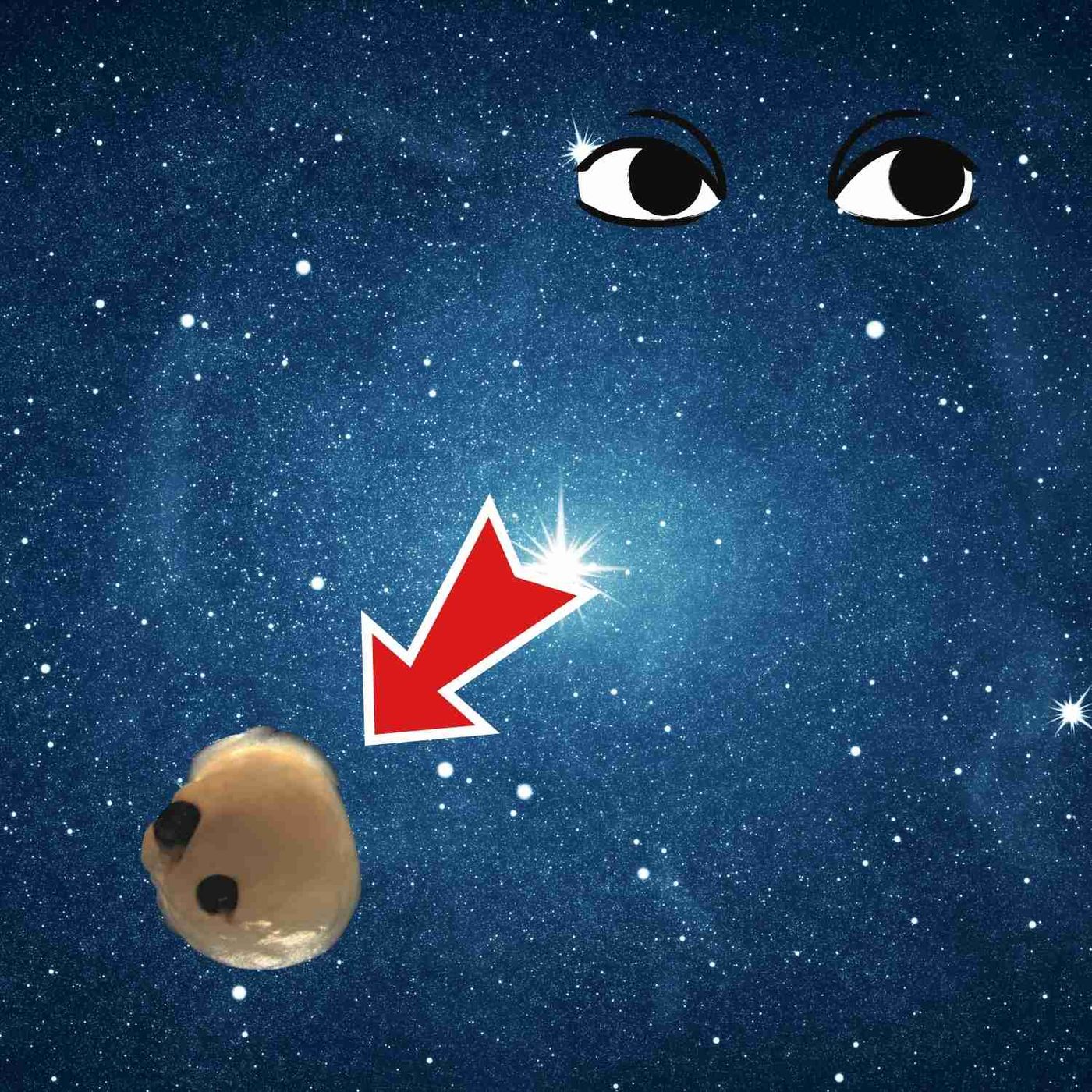 Mini Brains Created In A Lab Grew Eyes! Is There A Latent Undiscovered Power In Human Eyes?