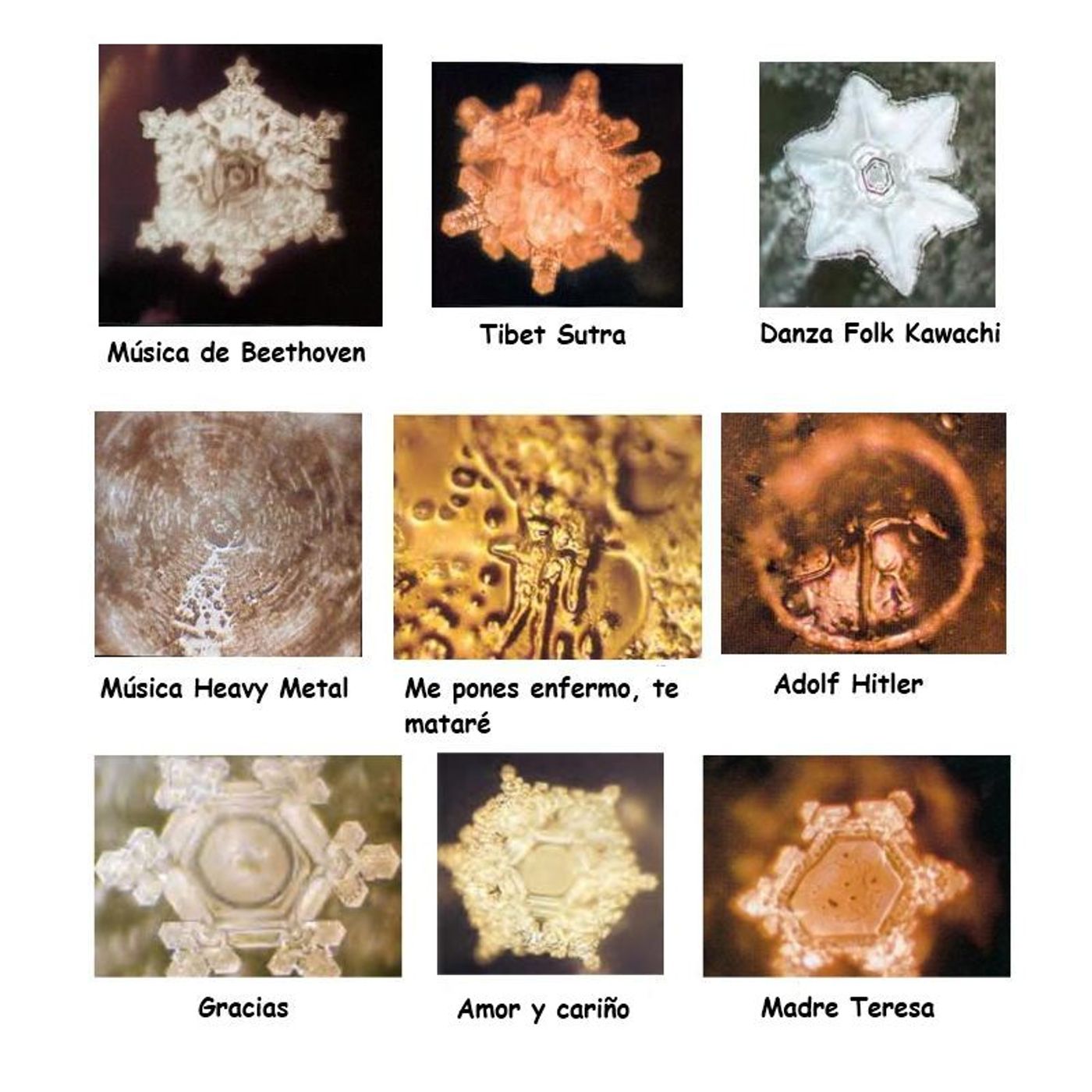 Portada de Conexion Pineal.