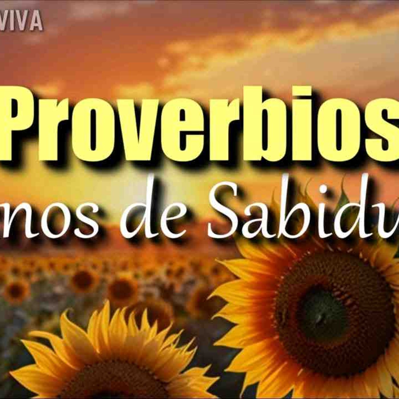 Proverbios para recibir sabiduría y paz de parte de Dios _ Biblia hablada _ Bible audio(MP3_160K)_1 episode artwork