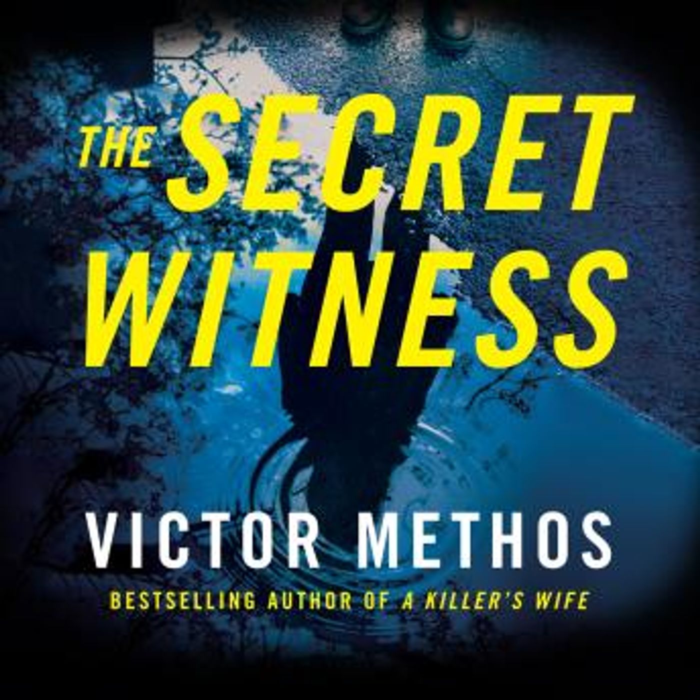 Listen to New Full Audiobooks in Mystery, Thriller & Horror, Legal & Political