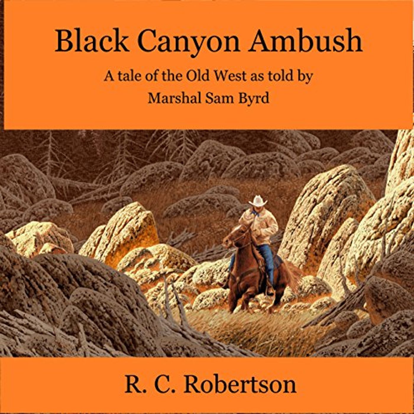 Listen to Most Popular Audiobooks in Fiction, Westerns