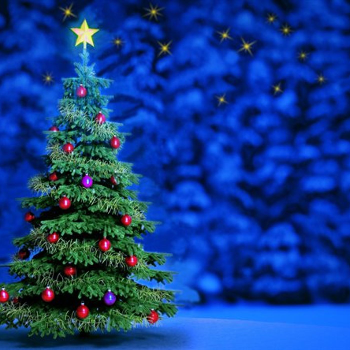 Christmas Programming