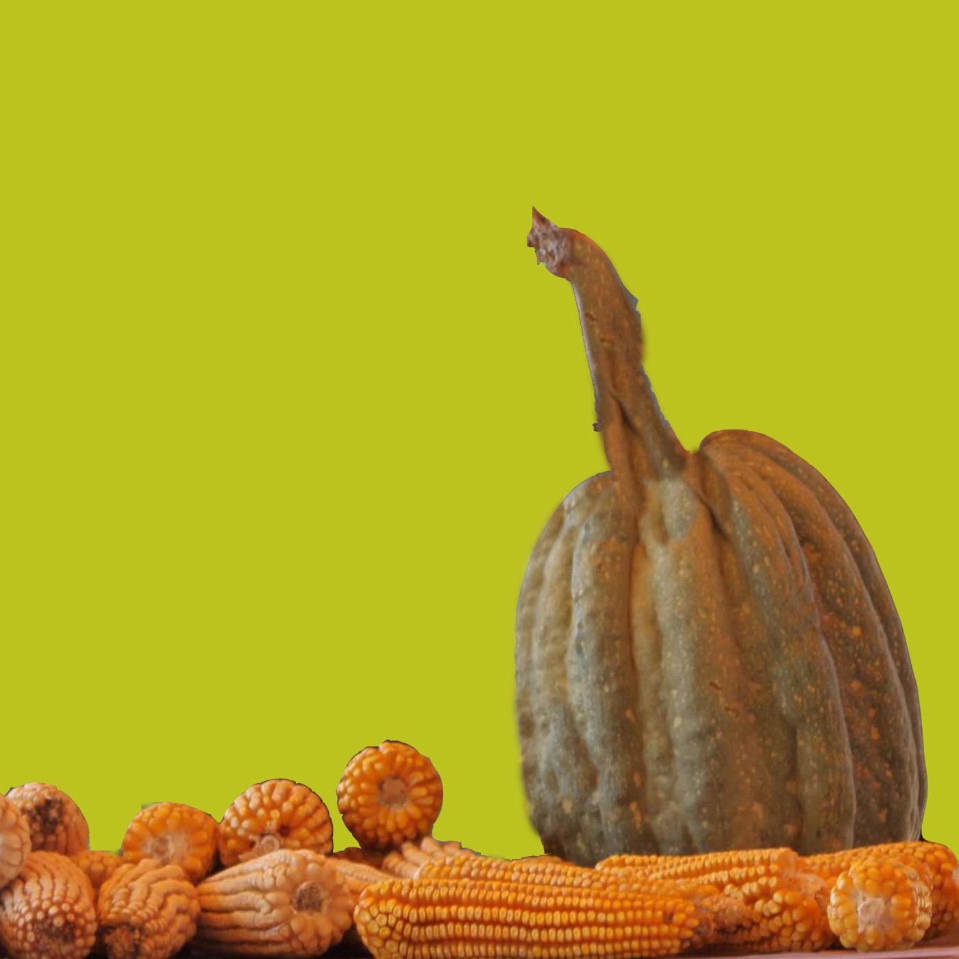 Agroecologías y epistemologías del Sur
