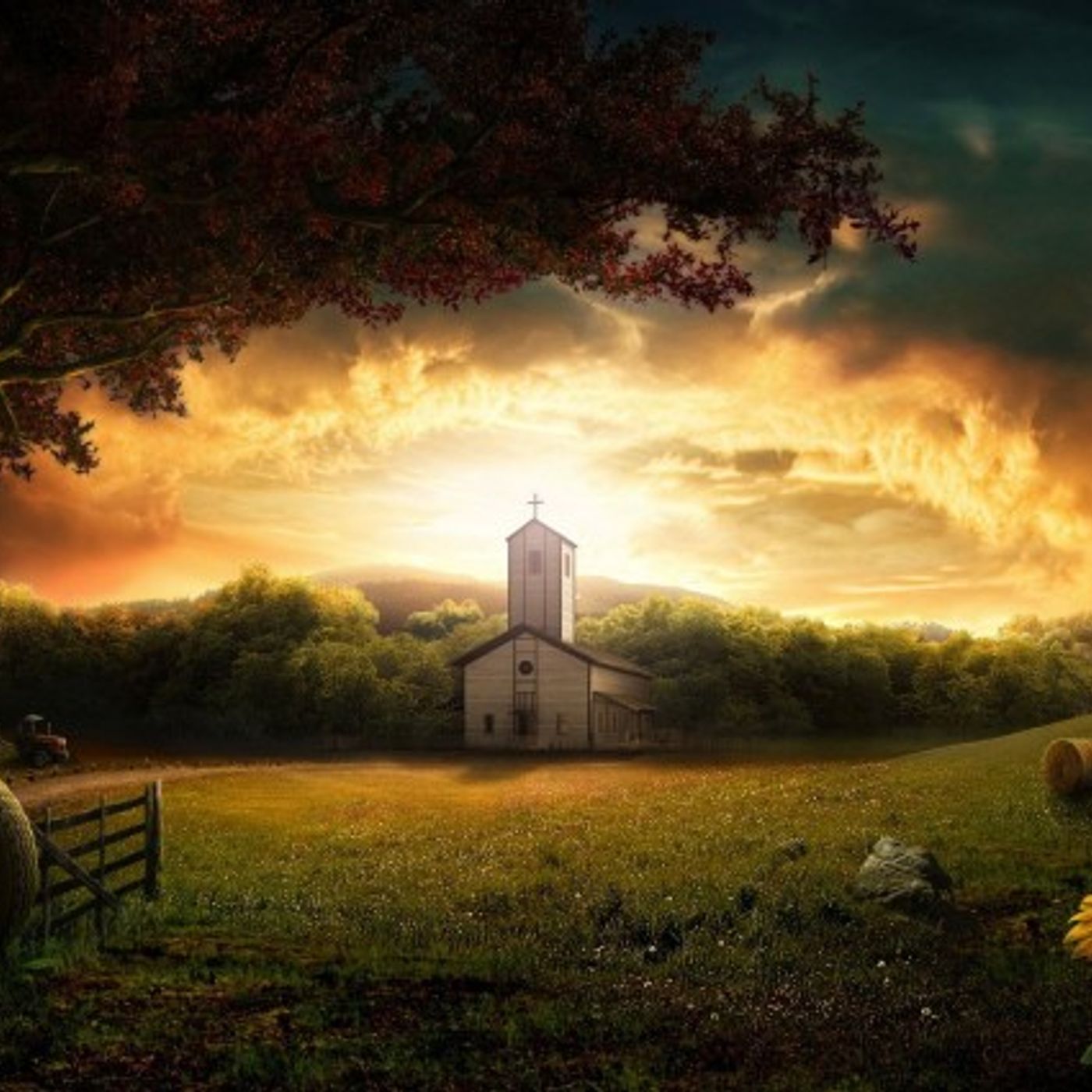 What Would You Ask God For If He Gave You One Wish? episode artwork