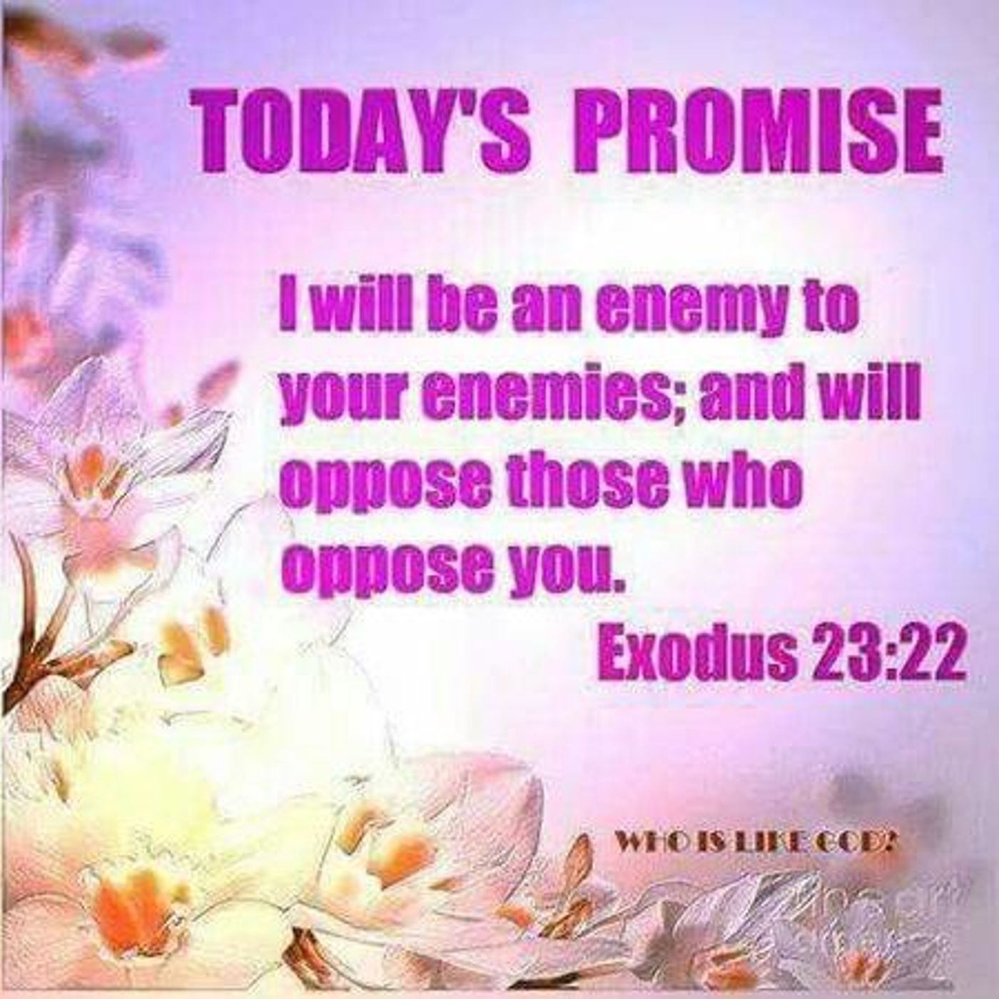 Obey God And He Will Be On Your Side (Pt 1) Exodus 23:22 - S12 [B342] episode artwork