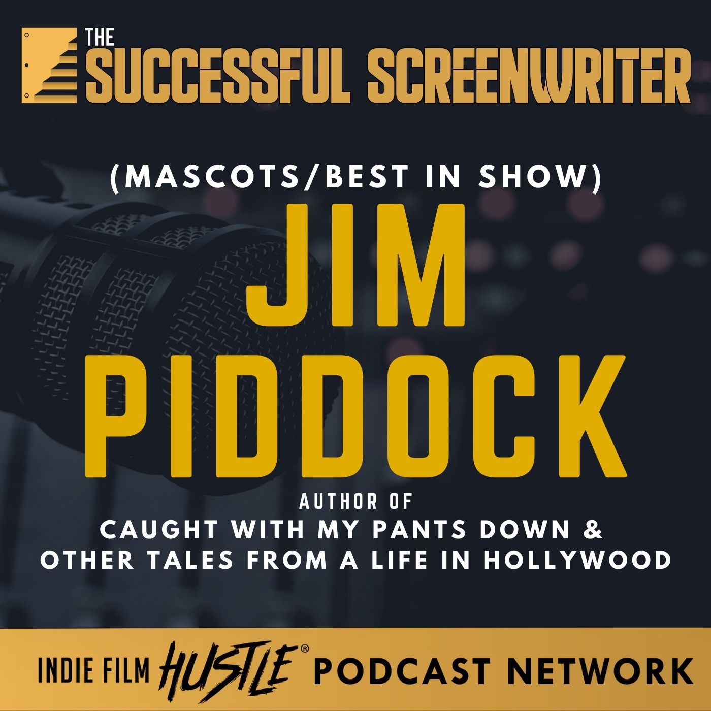 The Successful Screenwriter with Geoffrey D Calhoun: Screenwriting Podcast