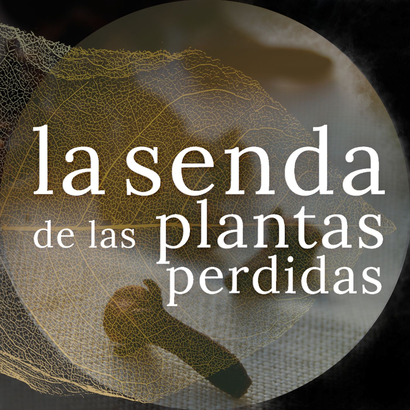 La Senda de las Plantas Perdidas