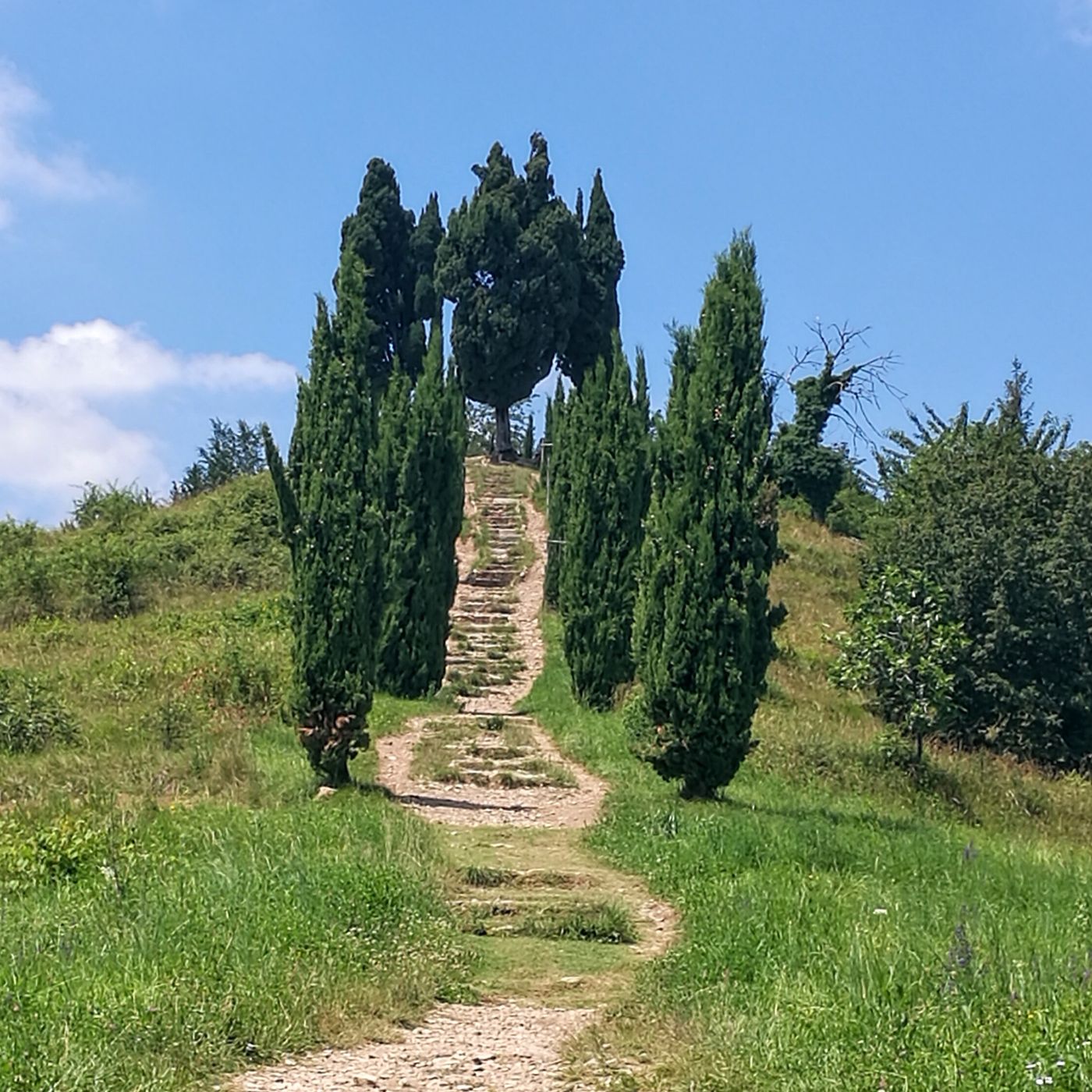 Misteri del Parco del Curone episode artwork