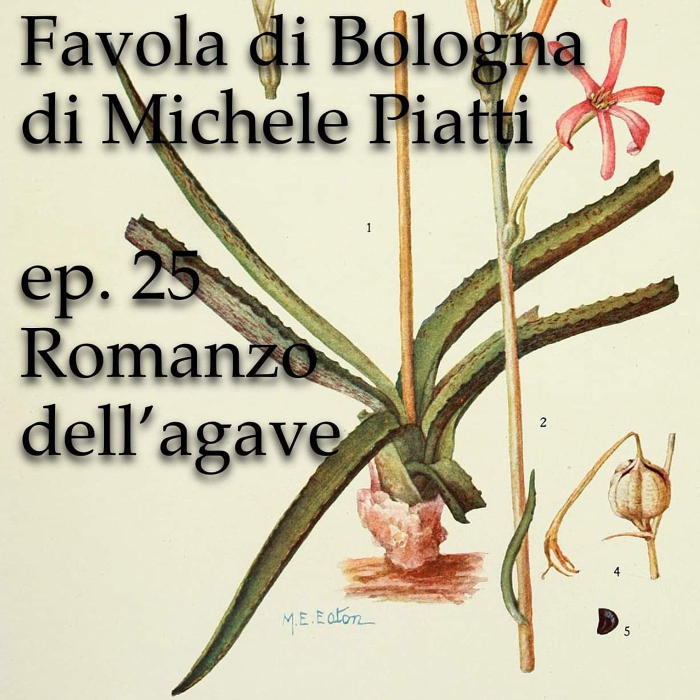 Romanzo dell'agave - Favola di Bologna - s01e25