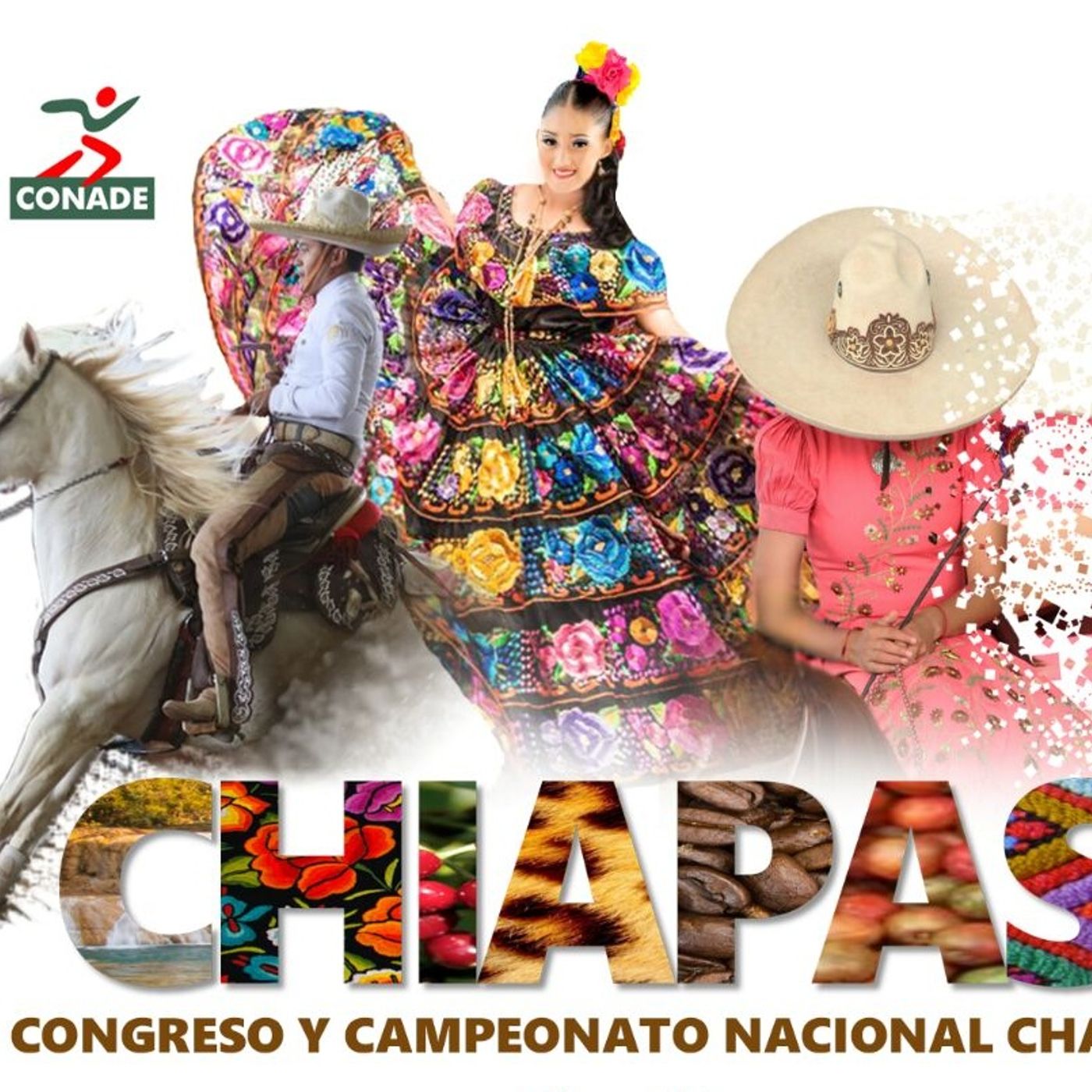 Podcasts de VozCharra