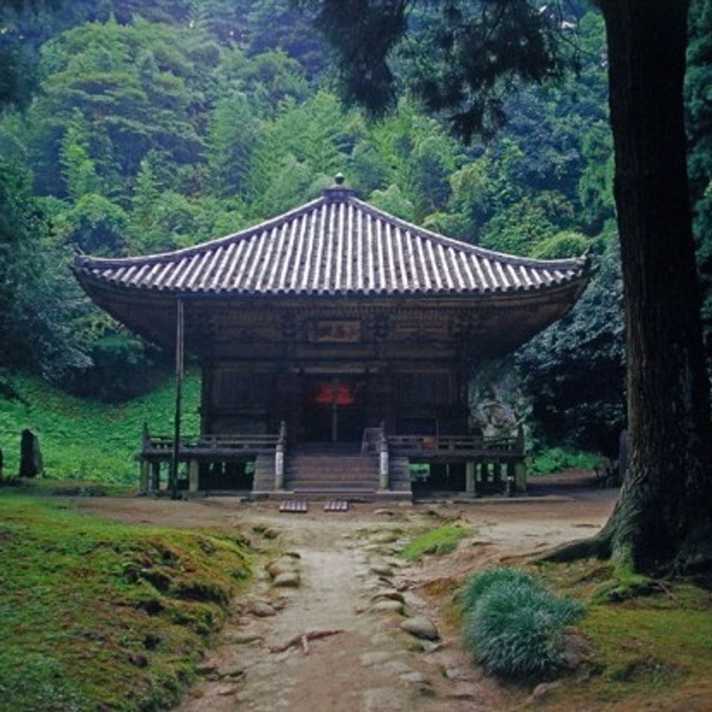 Zen Music Vol.6