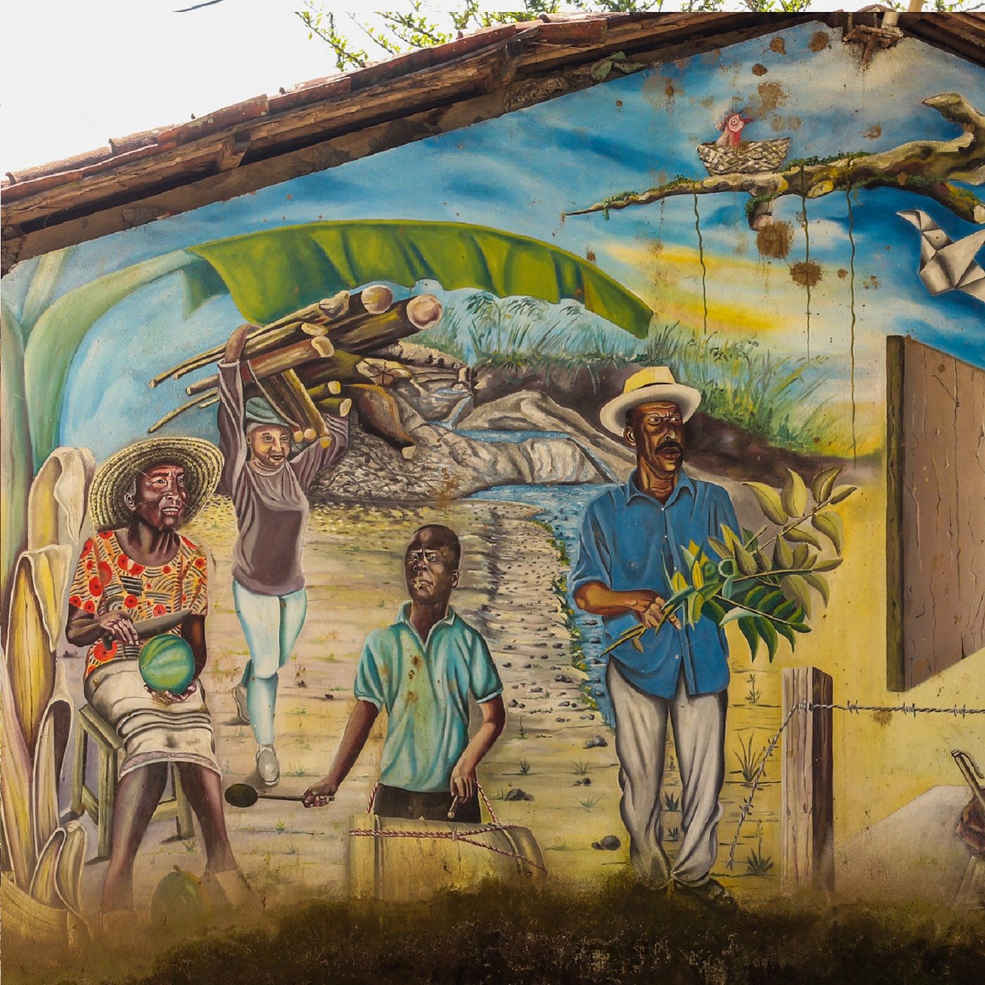 Cauca, caminos de resistencia. Episodio 3.  El Tuno, la familia que evitó la muerte por Covid-19 episode artwork