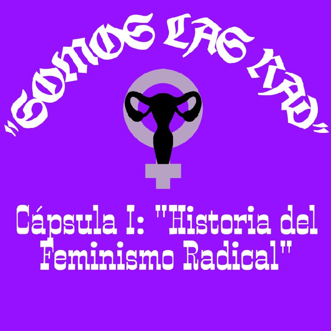 Cápsula I: "Historia Del Feminismo Radical" 💜🖤