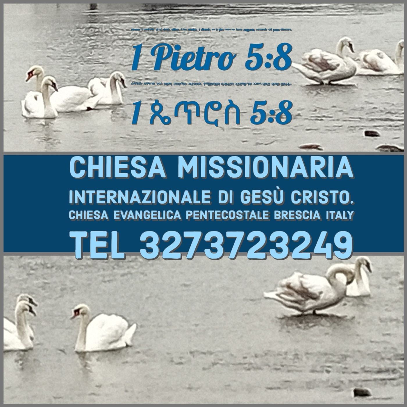 INTEGRITA' DELLA PAROLA DI DIO episode artwork