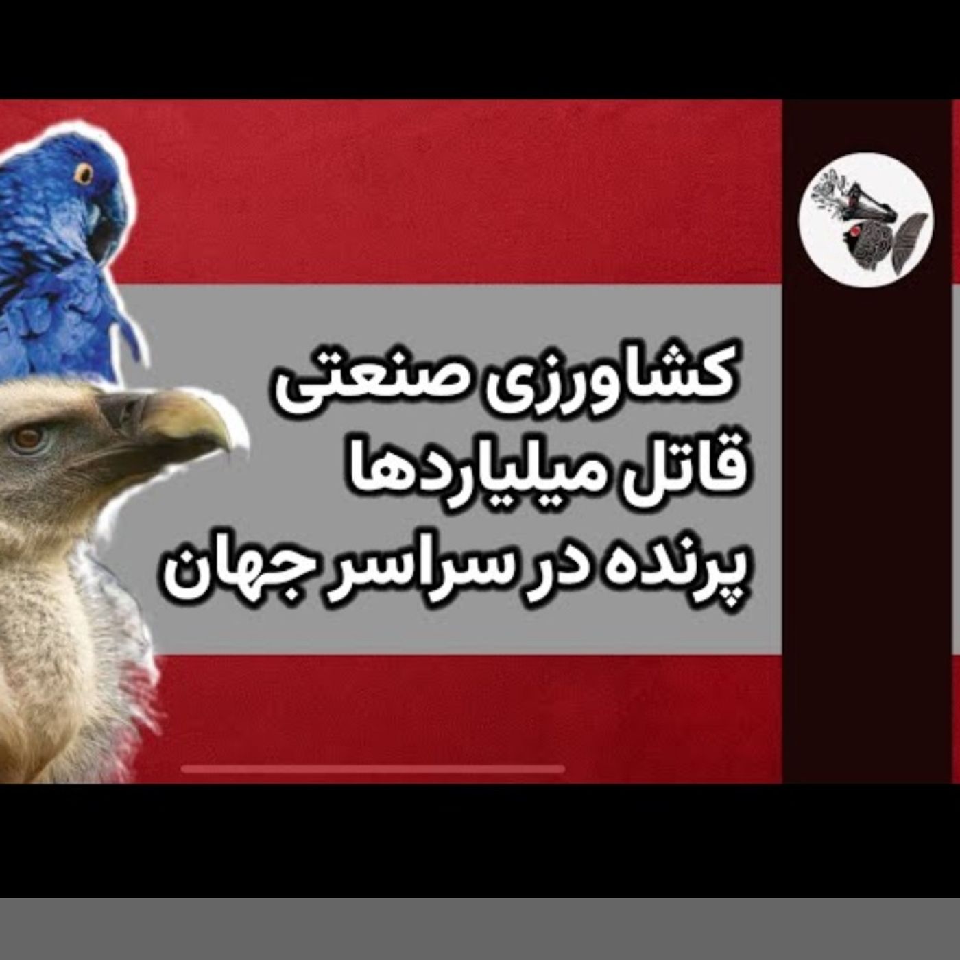 کشاورزی صنعتی قاتل میلیاردها پرنده در سراسر جهان