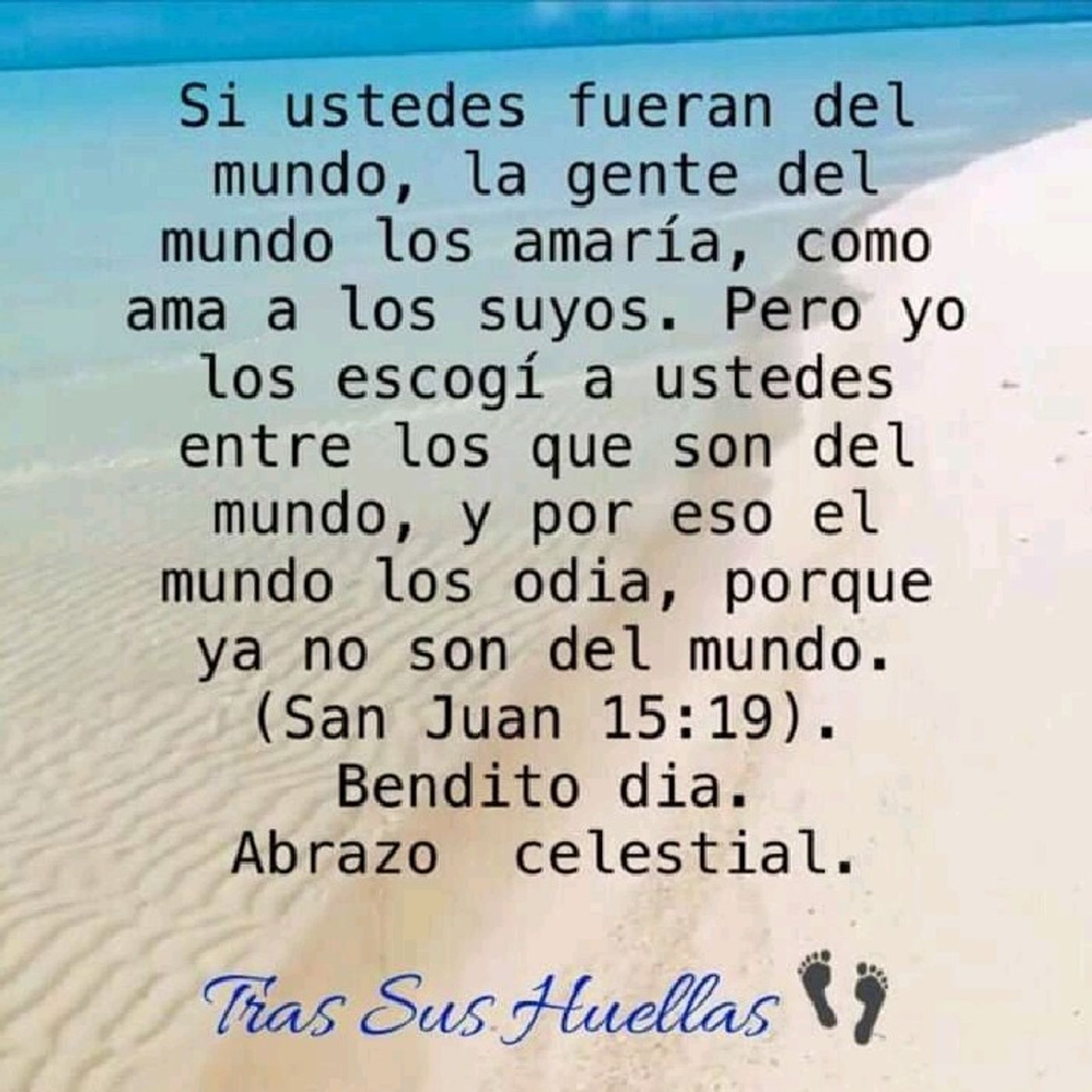 La Voz De Cristo.