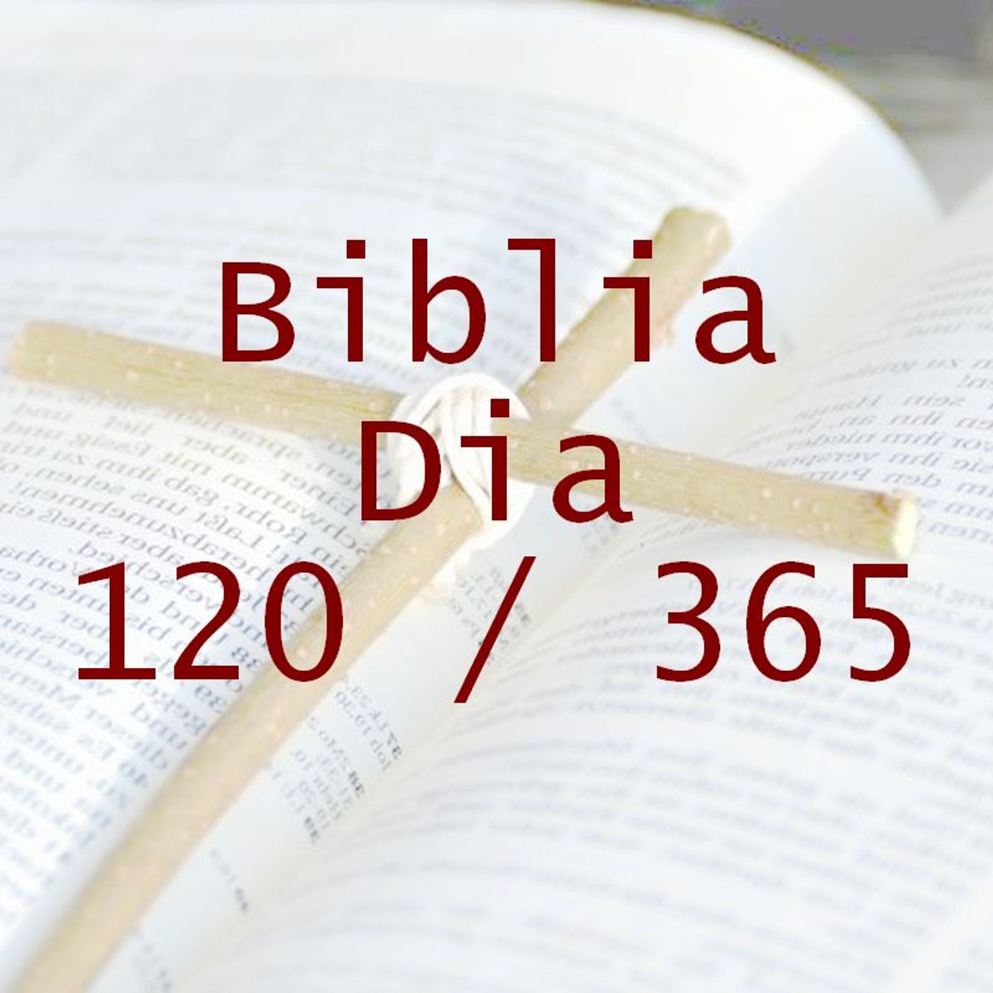La Biblia en 365 dias