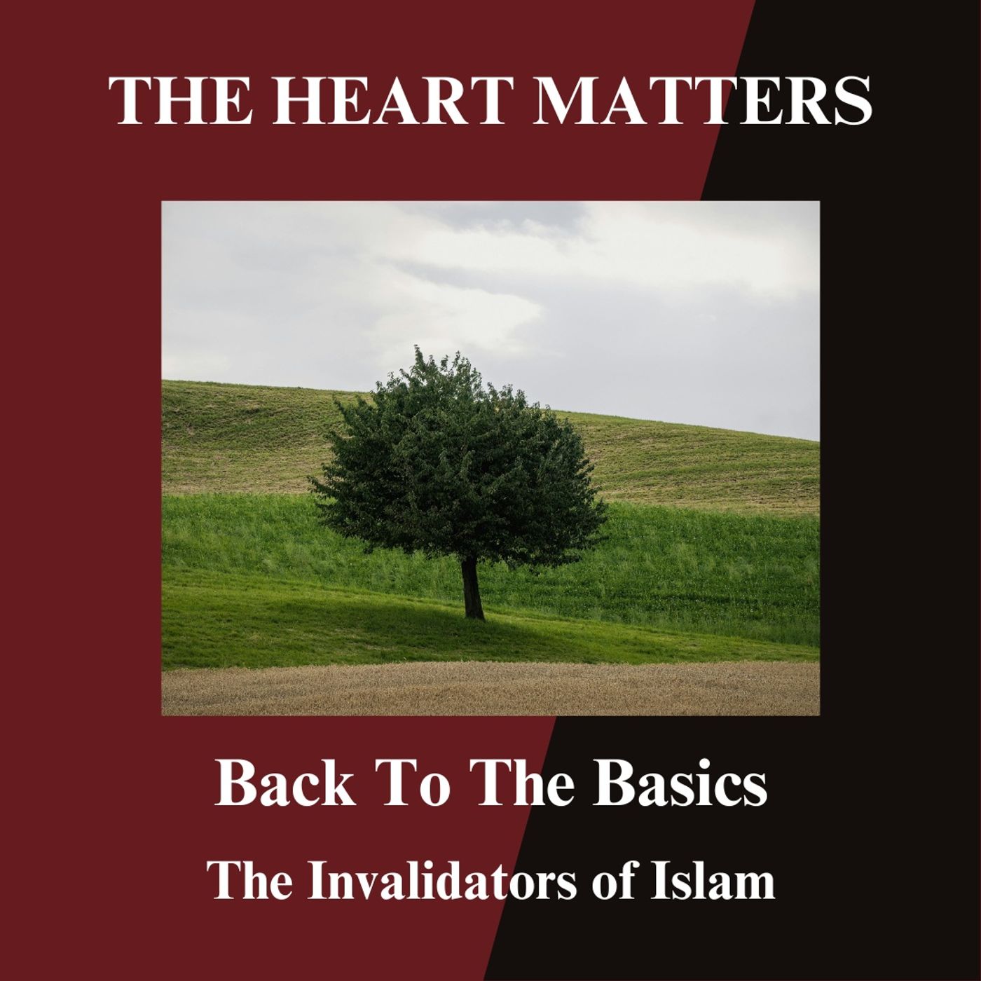 The Invalidators of Islam