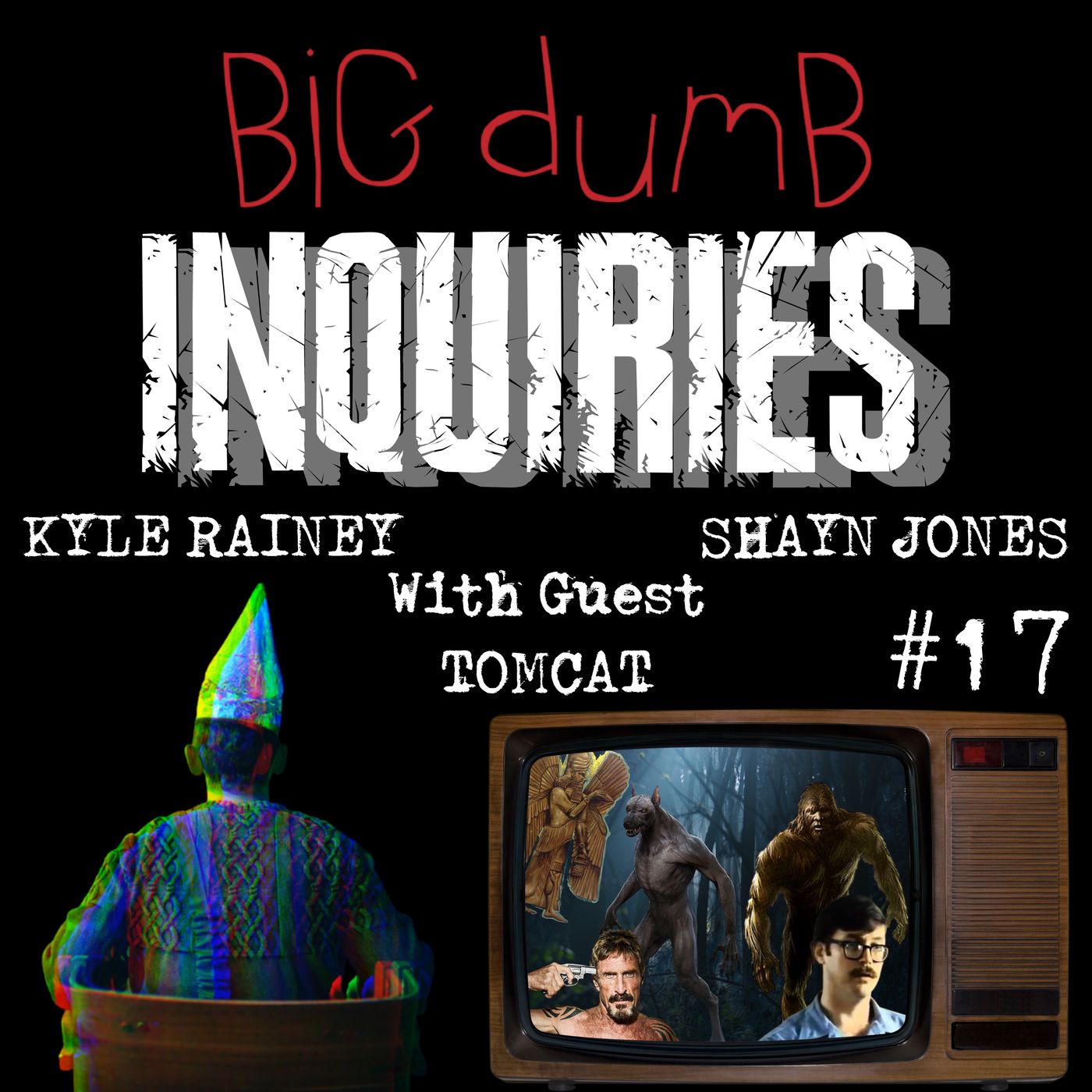 Big Dumb Inquiries #17 (Tomcat)
