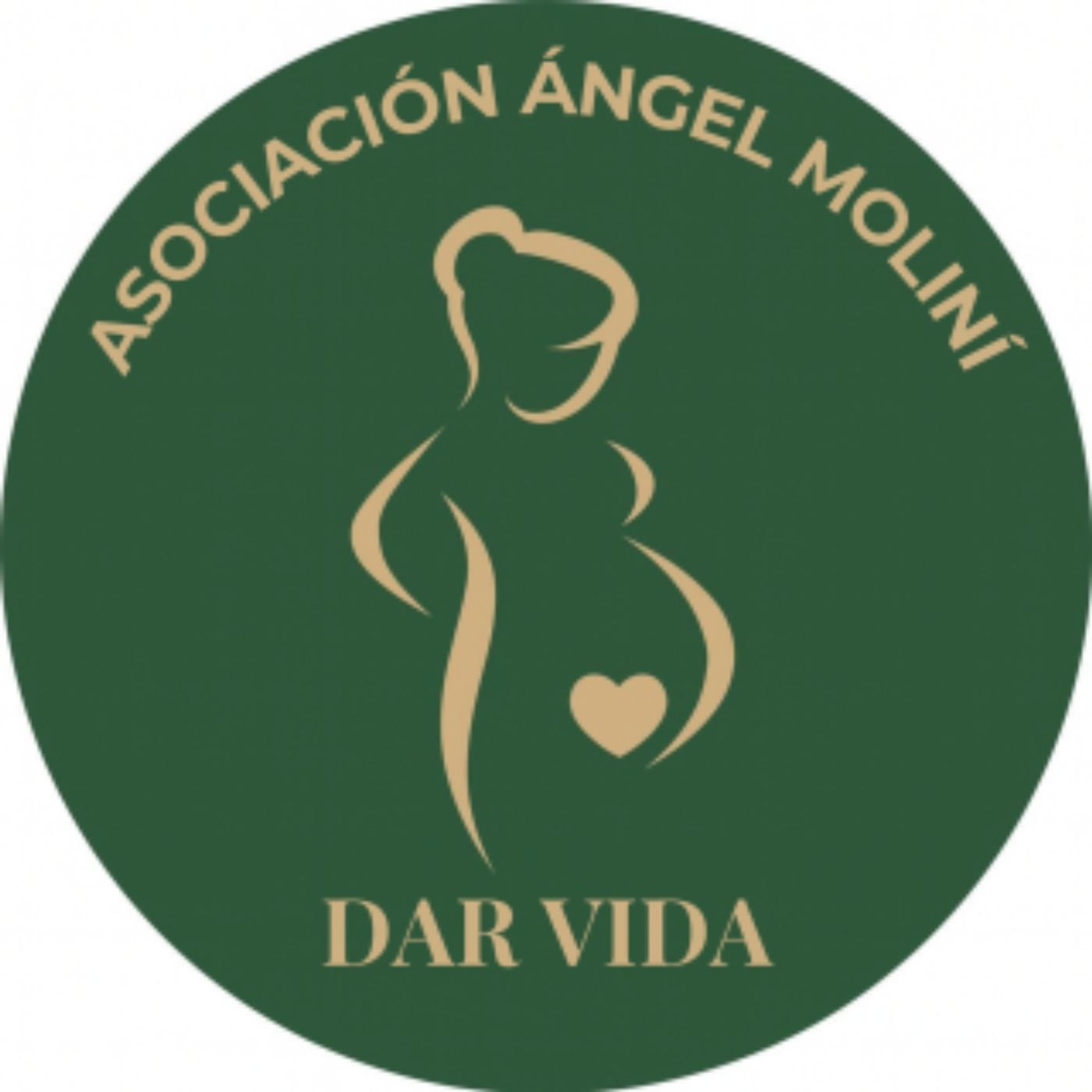 Entrevistas de Perfil: Asociación Ángel Moliní Dar vida episode artwork