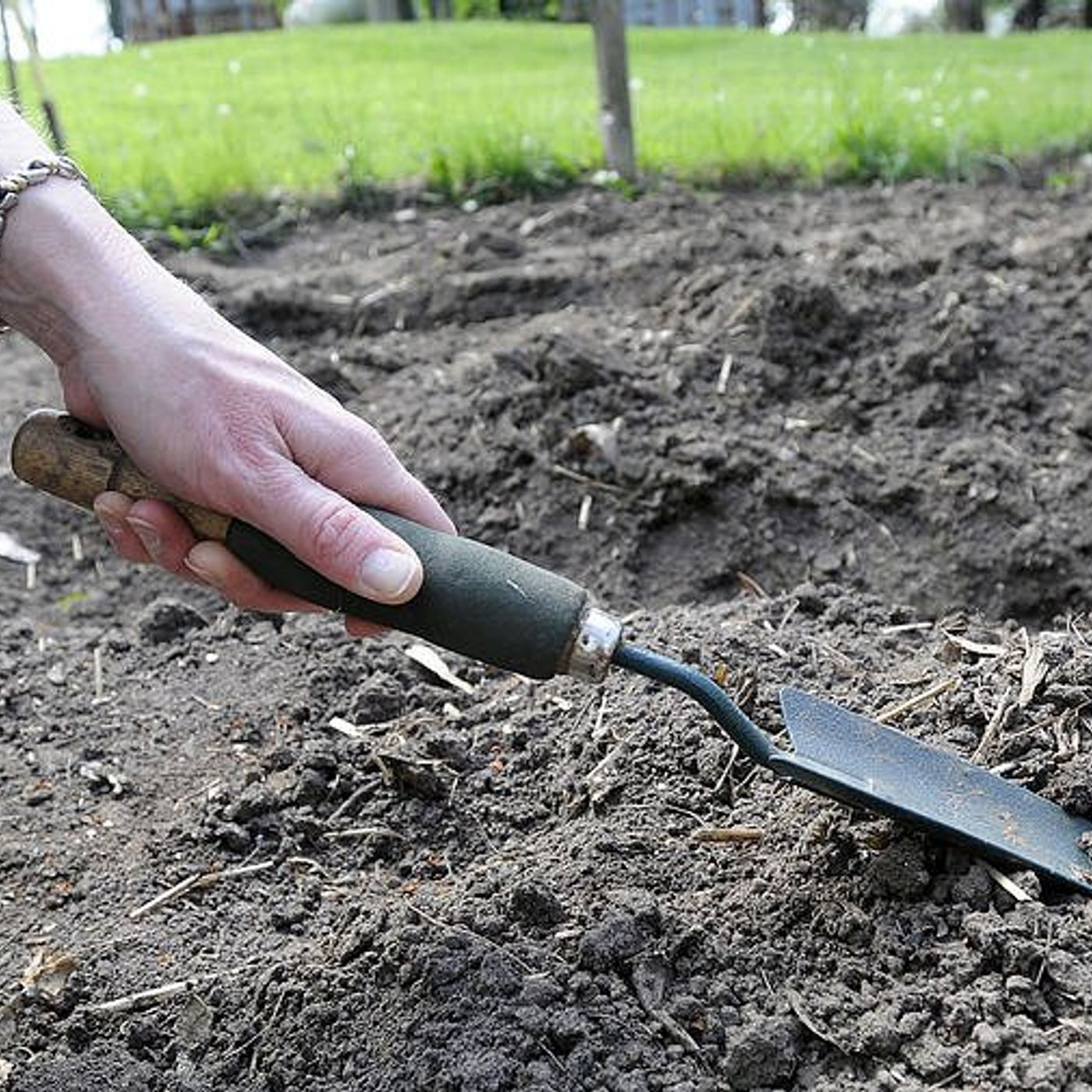 4-H Little Roots Garden Program invites kids to learn about gardening episode artwork