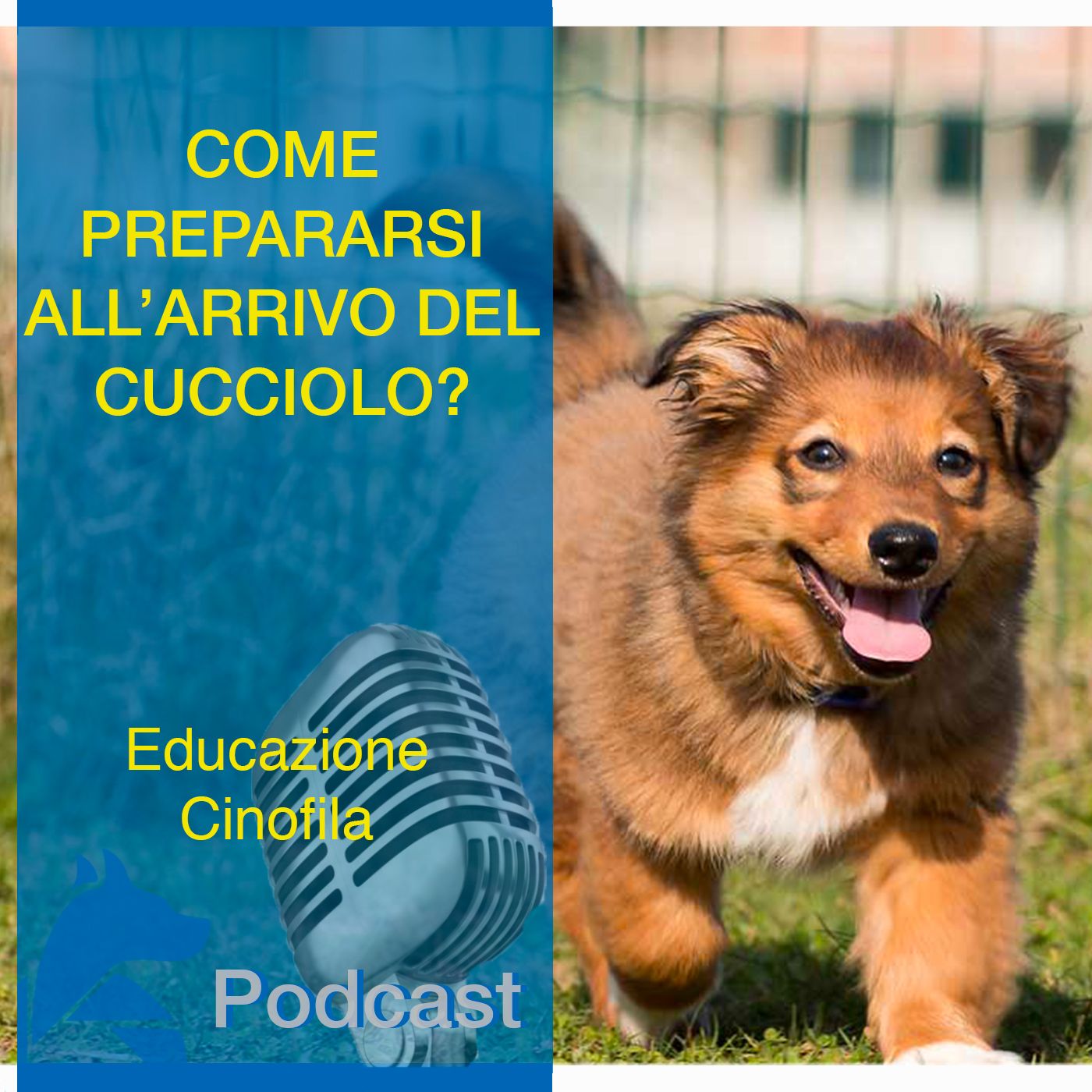 StiCani Educazione Cinofila