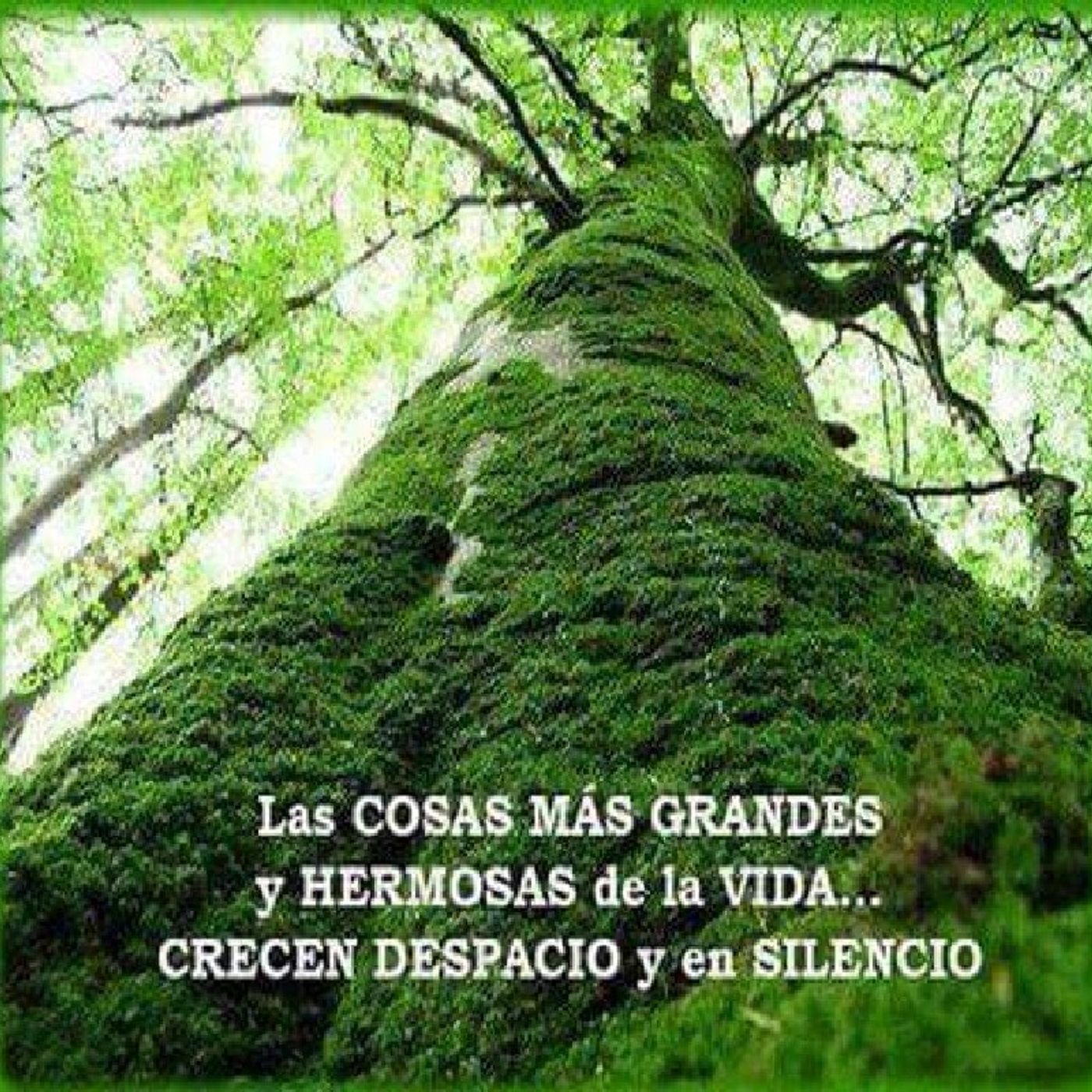 REFLEXIONES DE HÁVILA