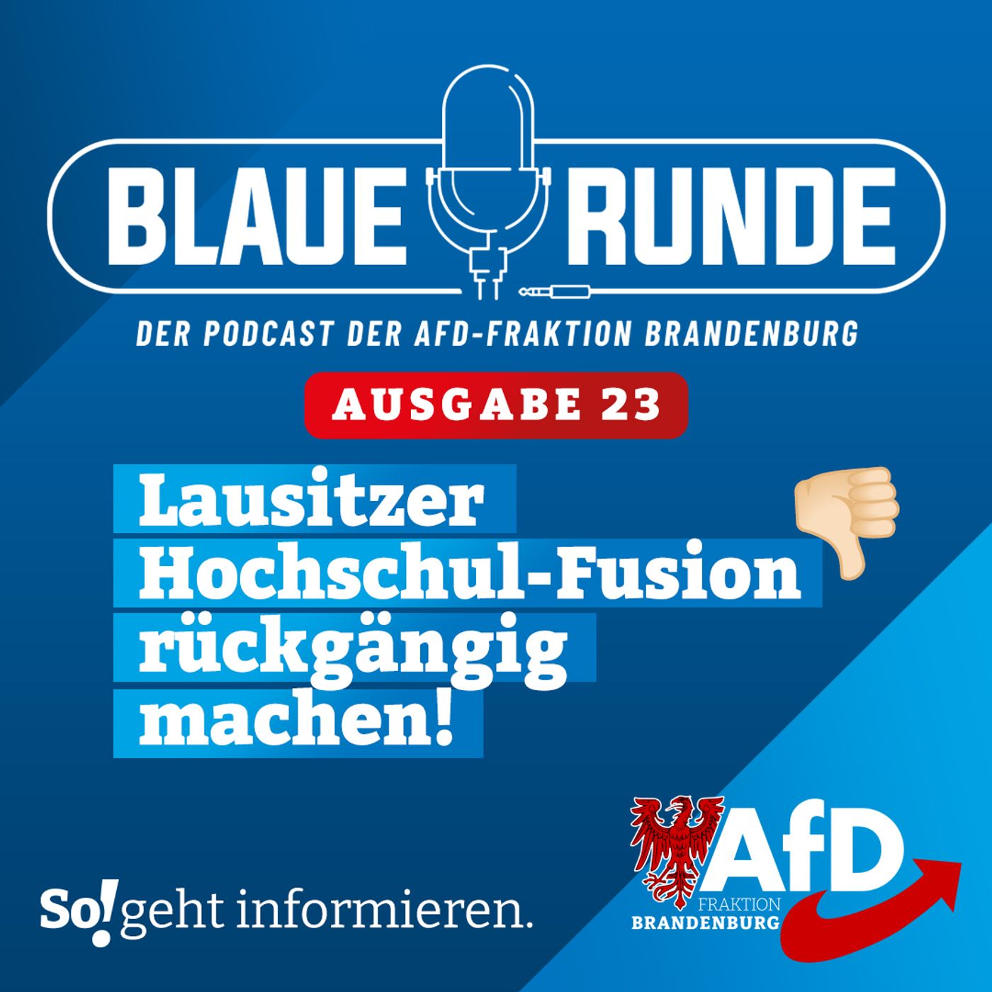 Lausitzer Hochschul-Fusion rückgängig machen! | Die Blaue Runde, Ausgabe 23/24 vom 11.04.2024 episode artwork