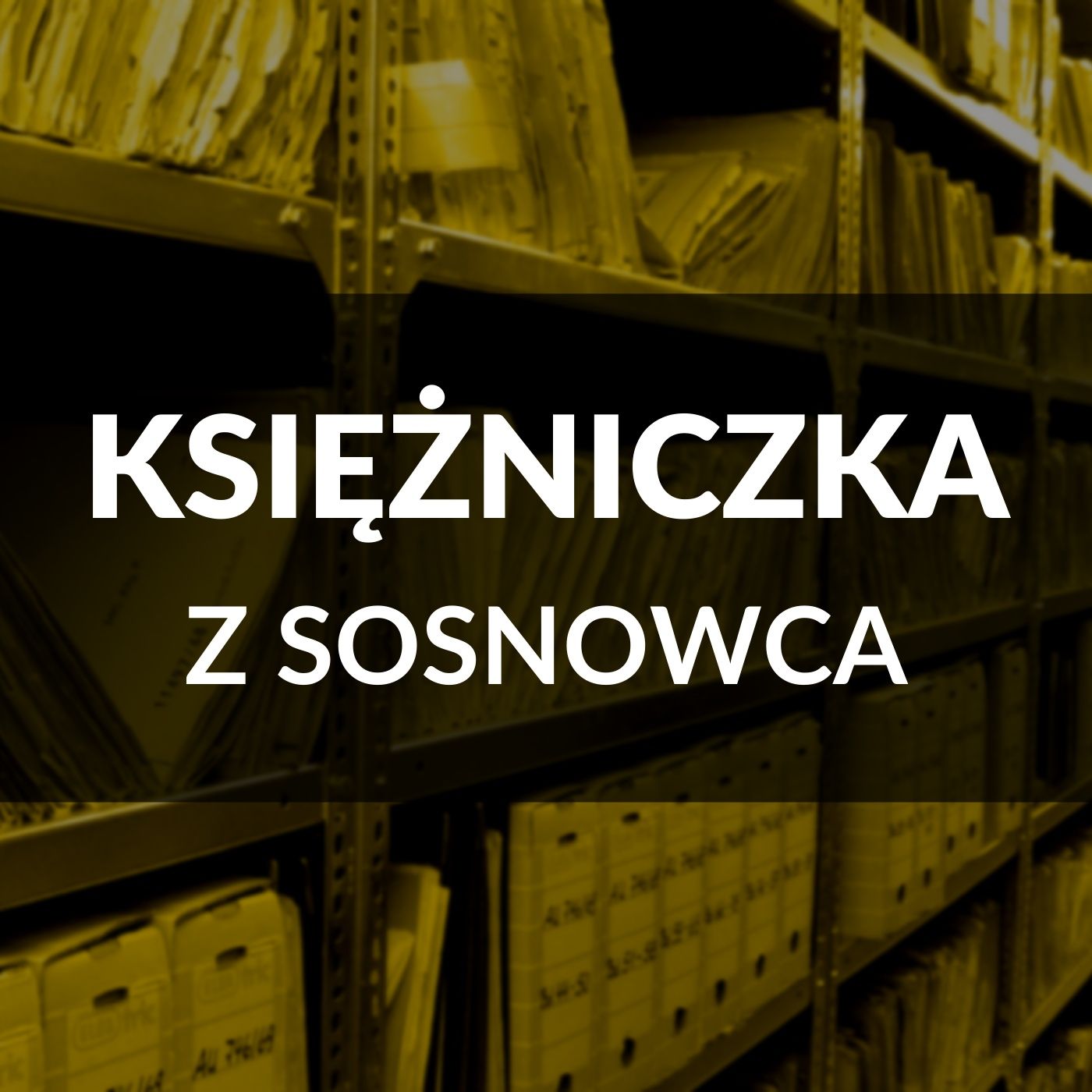 Zagłębie Młodych