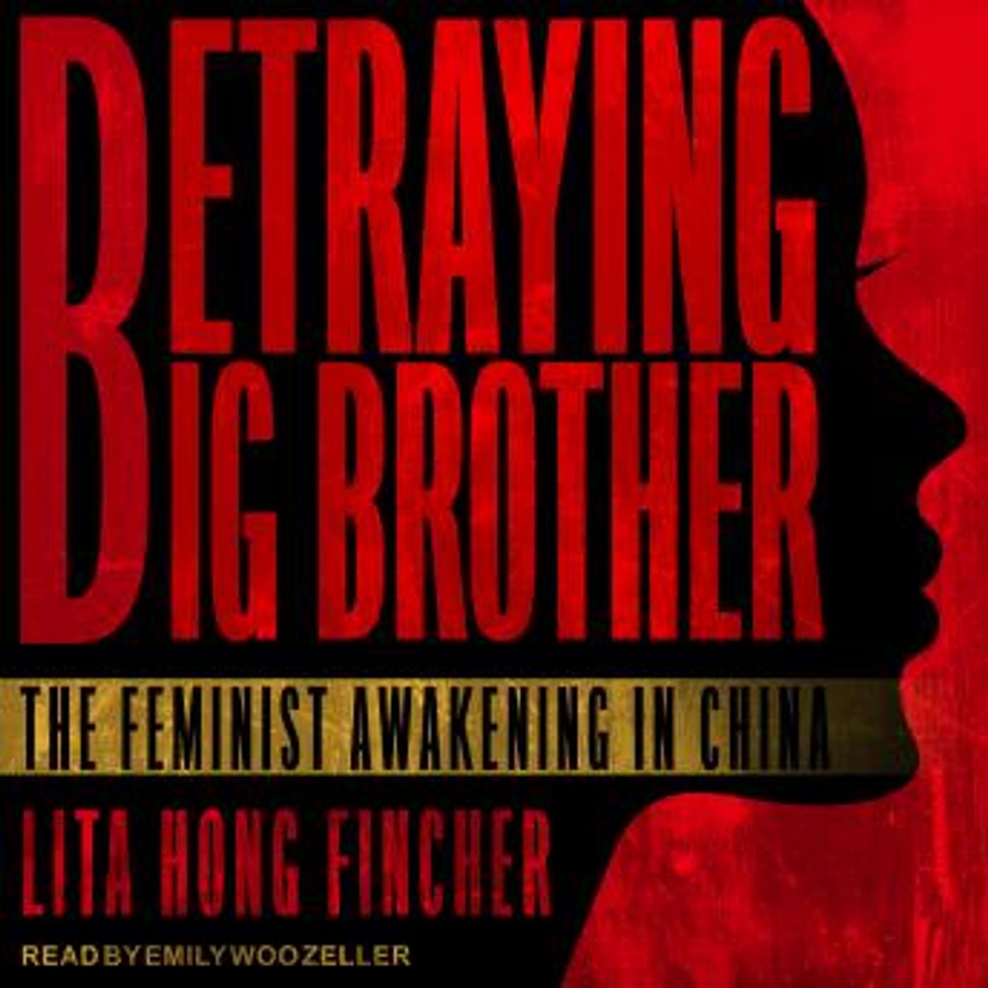 Full Audiobooks in Non-Fiction, Current Affairs, Law, & Politics