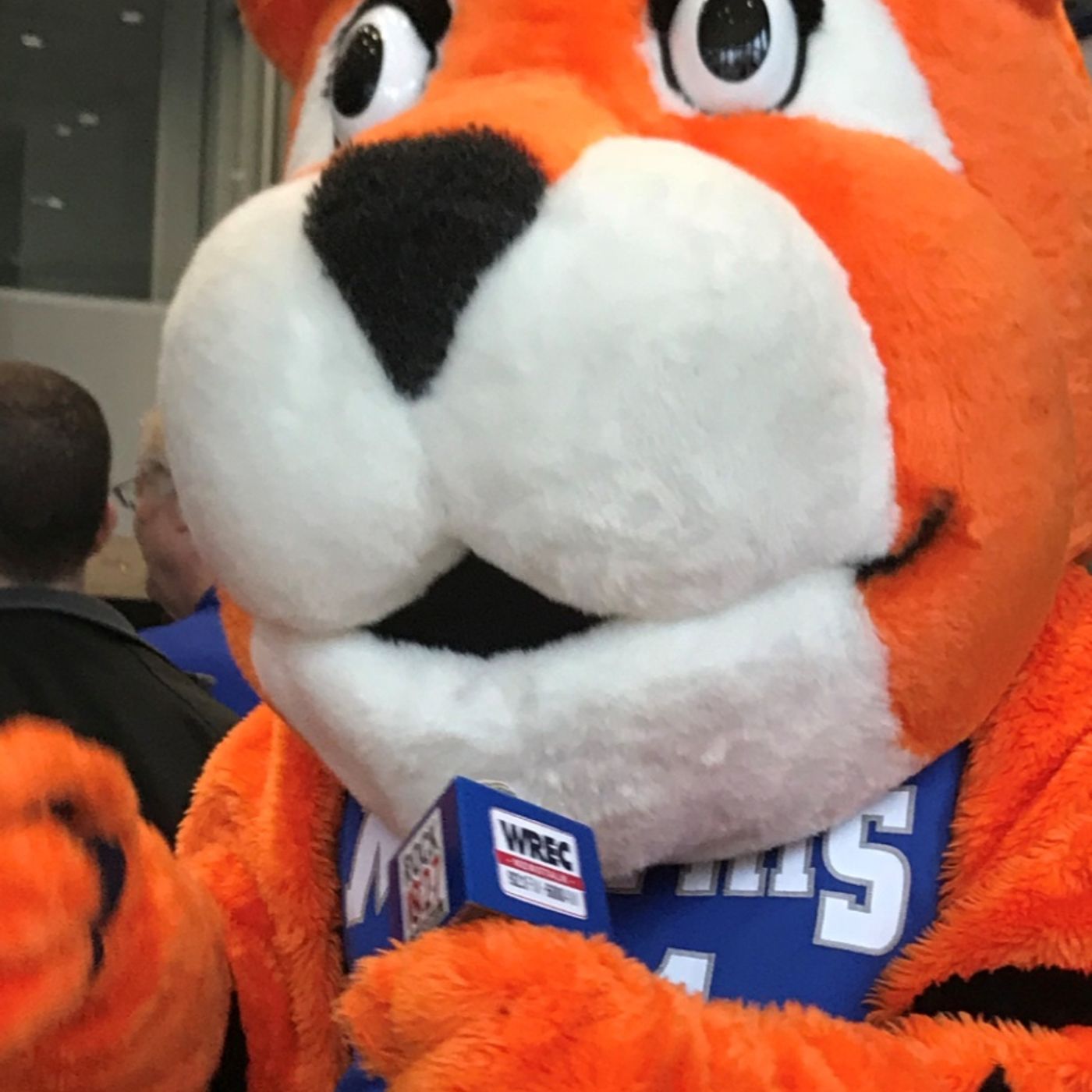 Memphis Tigers Basketball