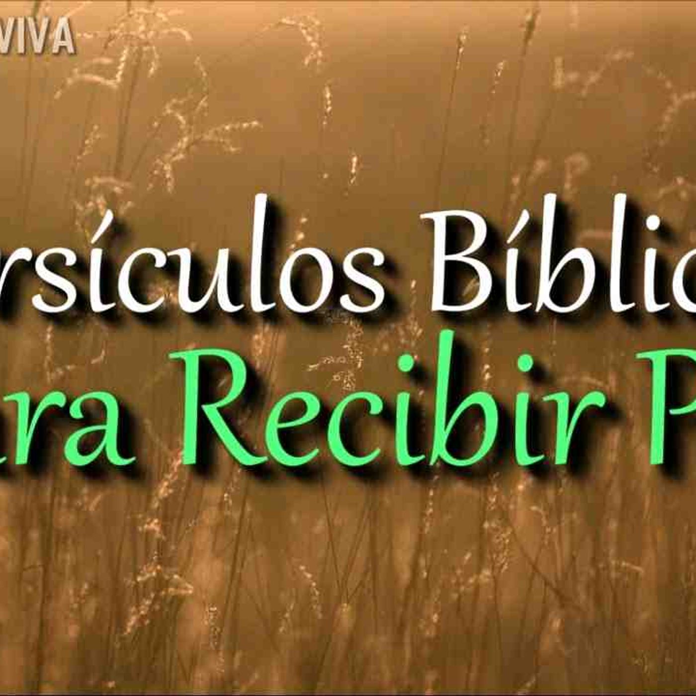 Versiculos Biblicos de Paz _ Bible in Spanish(MP3_160K) episode artwork