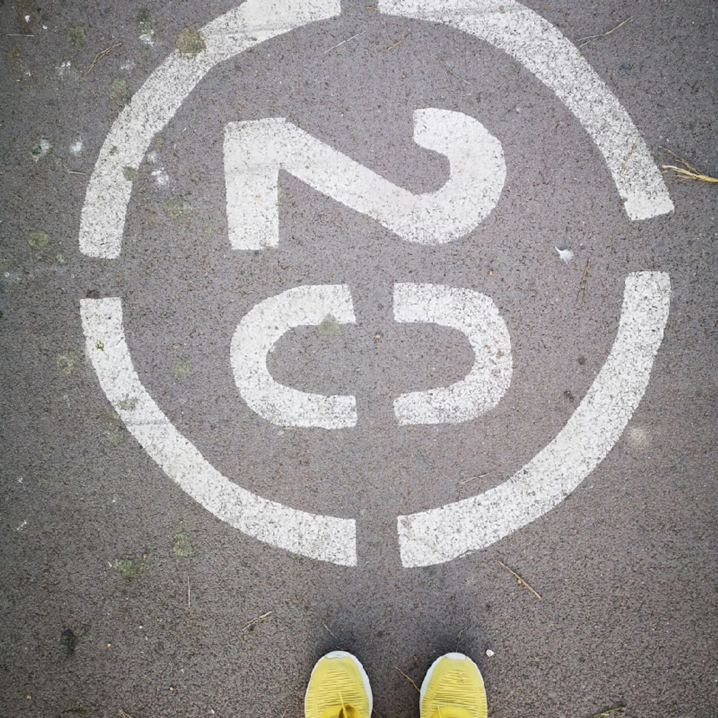 Emotional intelligence for daily life