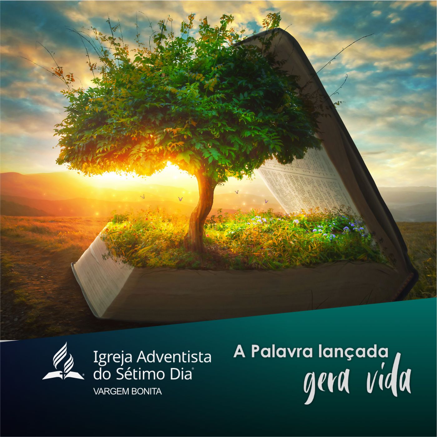 Adventistas Vargem Bonita