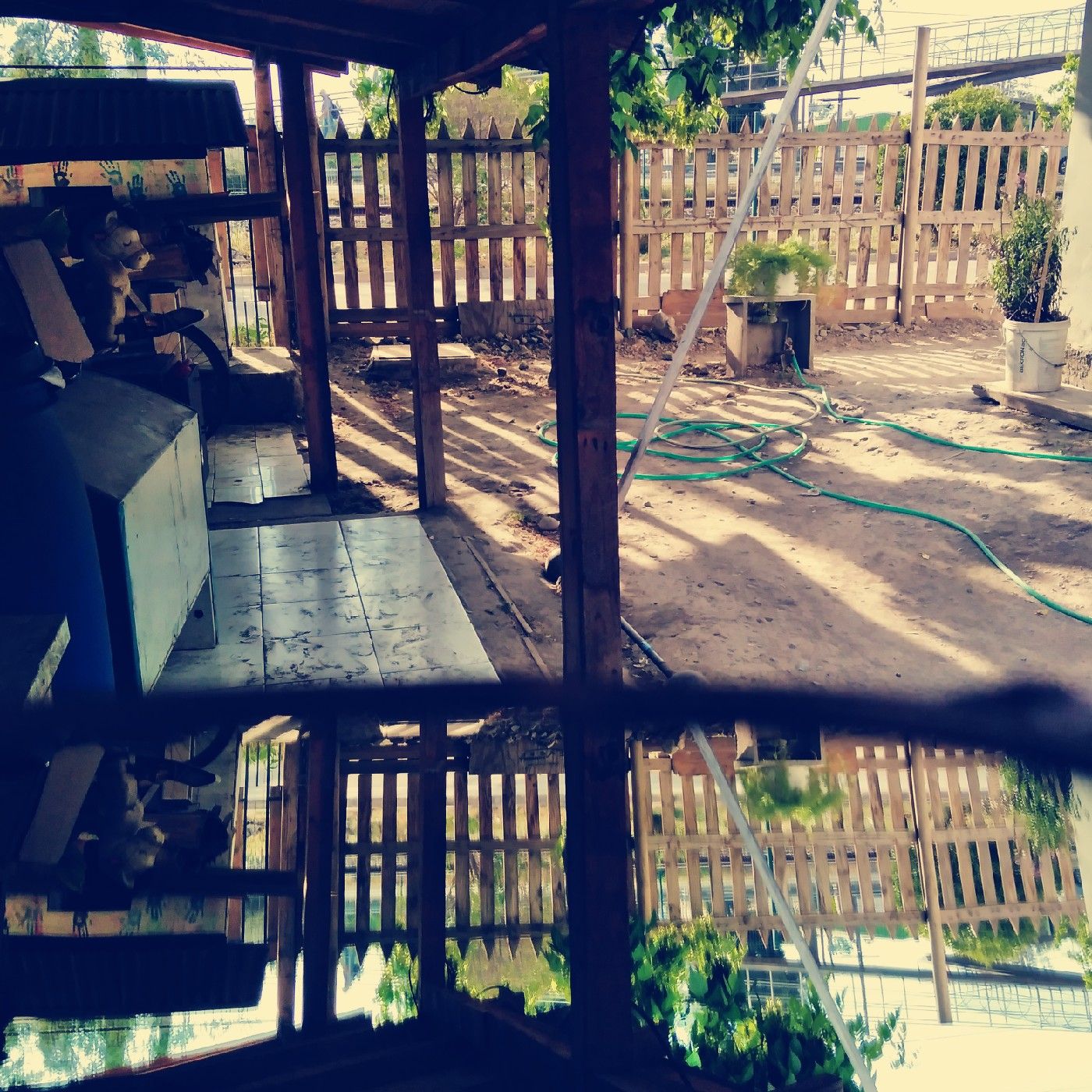 El podcast de Rocio 2626