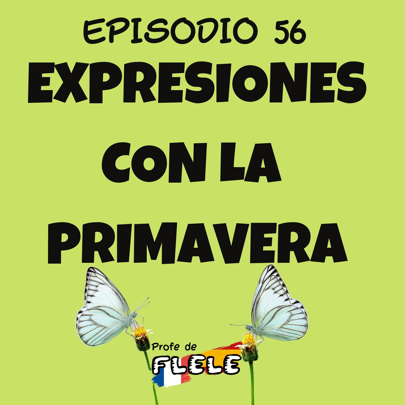 L\'espagnol dans ta poche