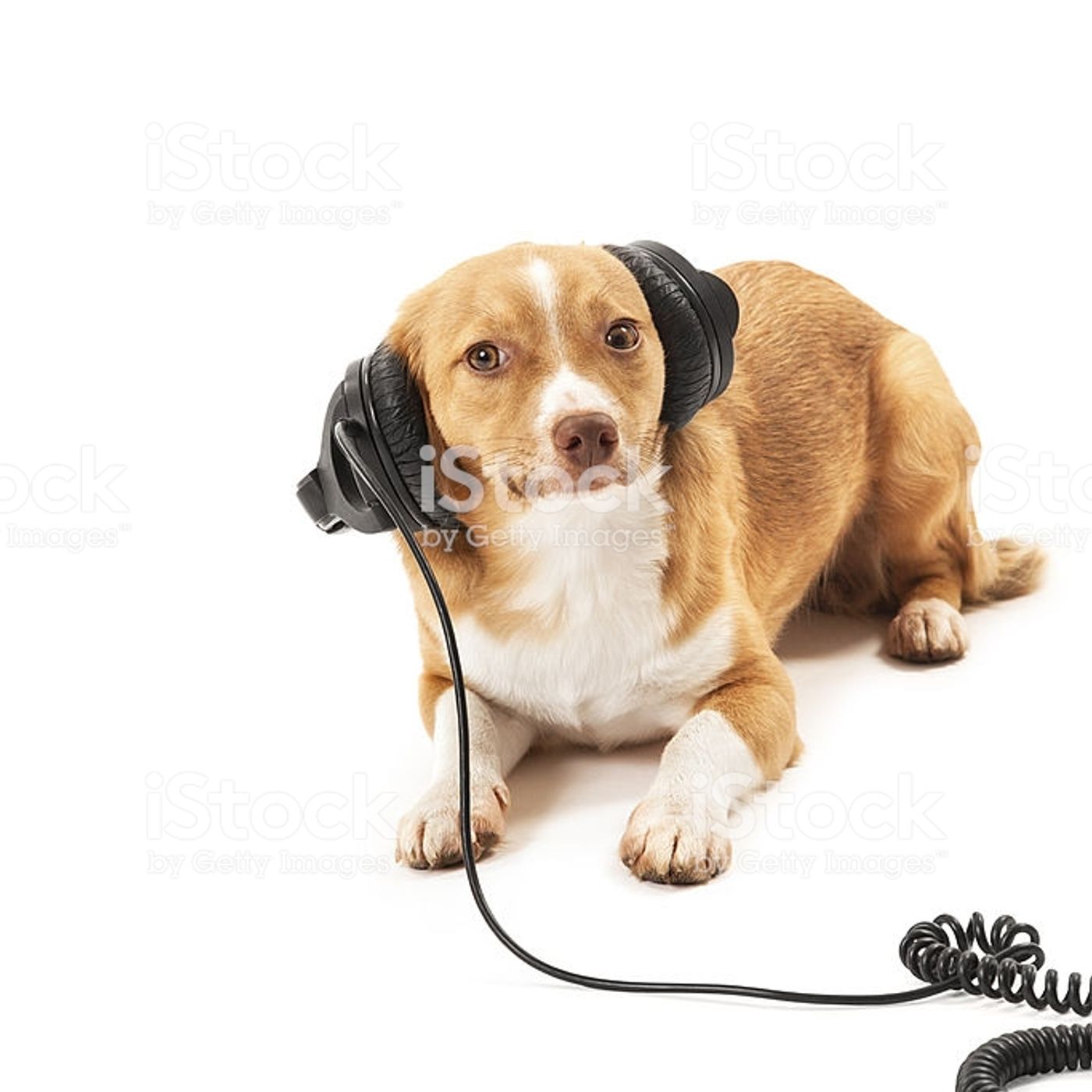 BauPodcast S:1