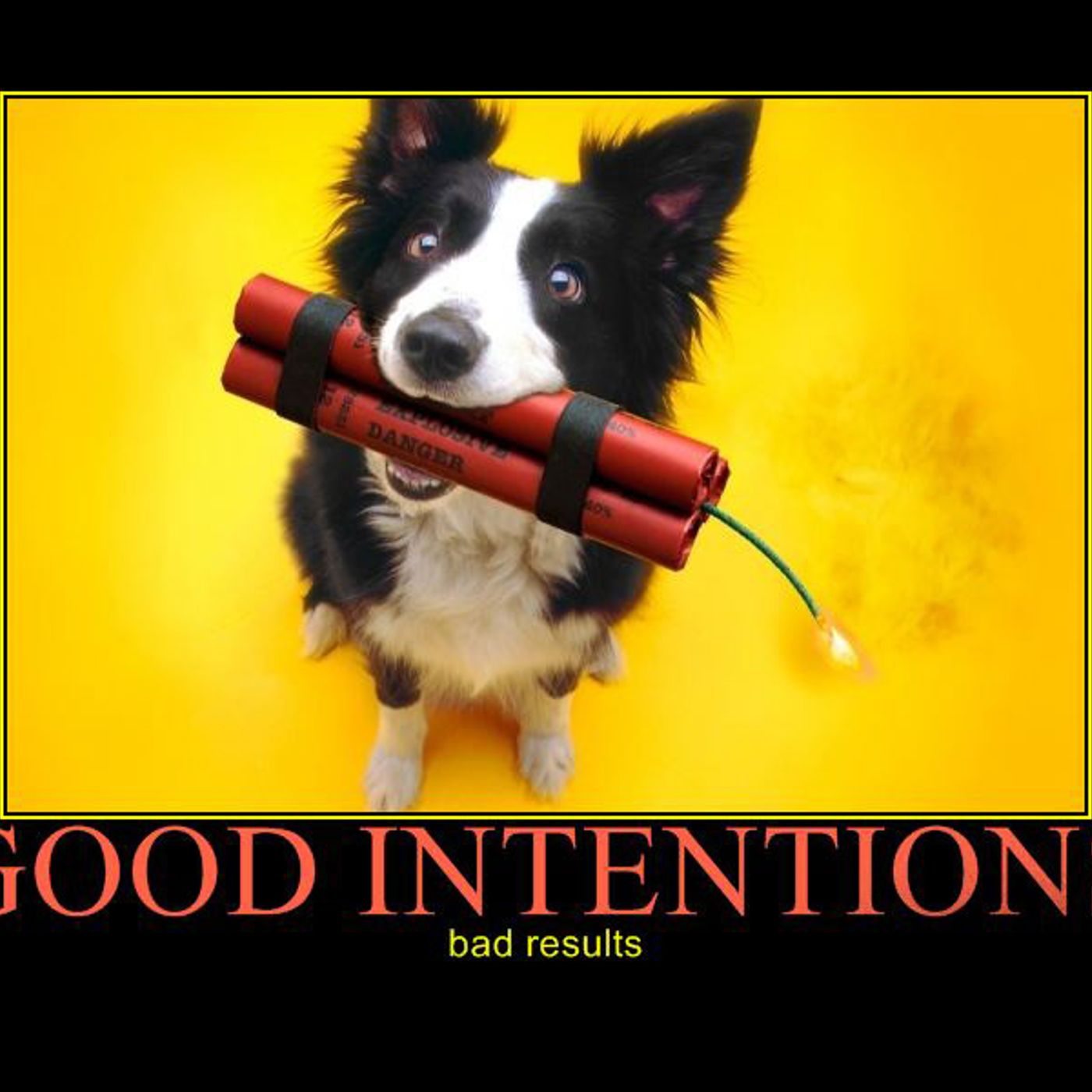 Good Intentions Gone Bad episode artwork