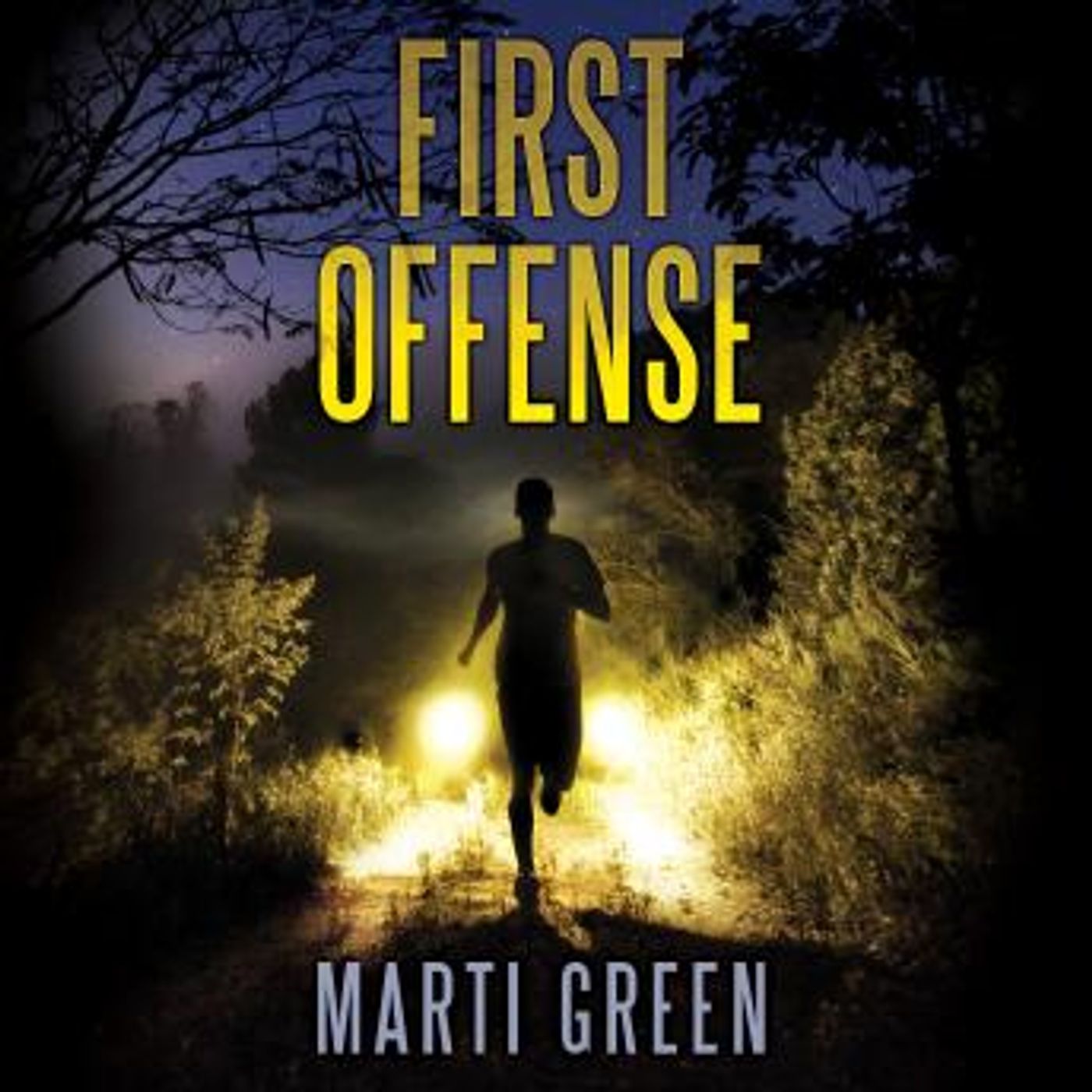 Unlock Top Full Audiobooks in Mystery, Thriller & Horror, Legal & Political