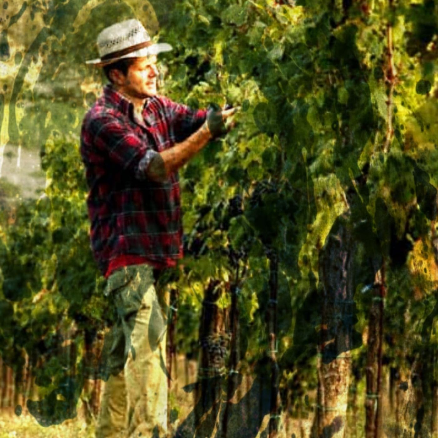 Vangelo e Omelia, 08 Ottobre 2023 episode artwork