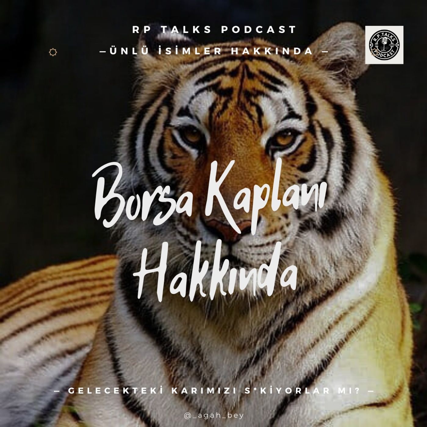 RP Talks Podcast
