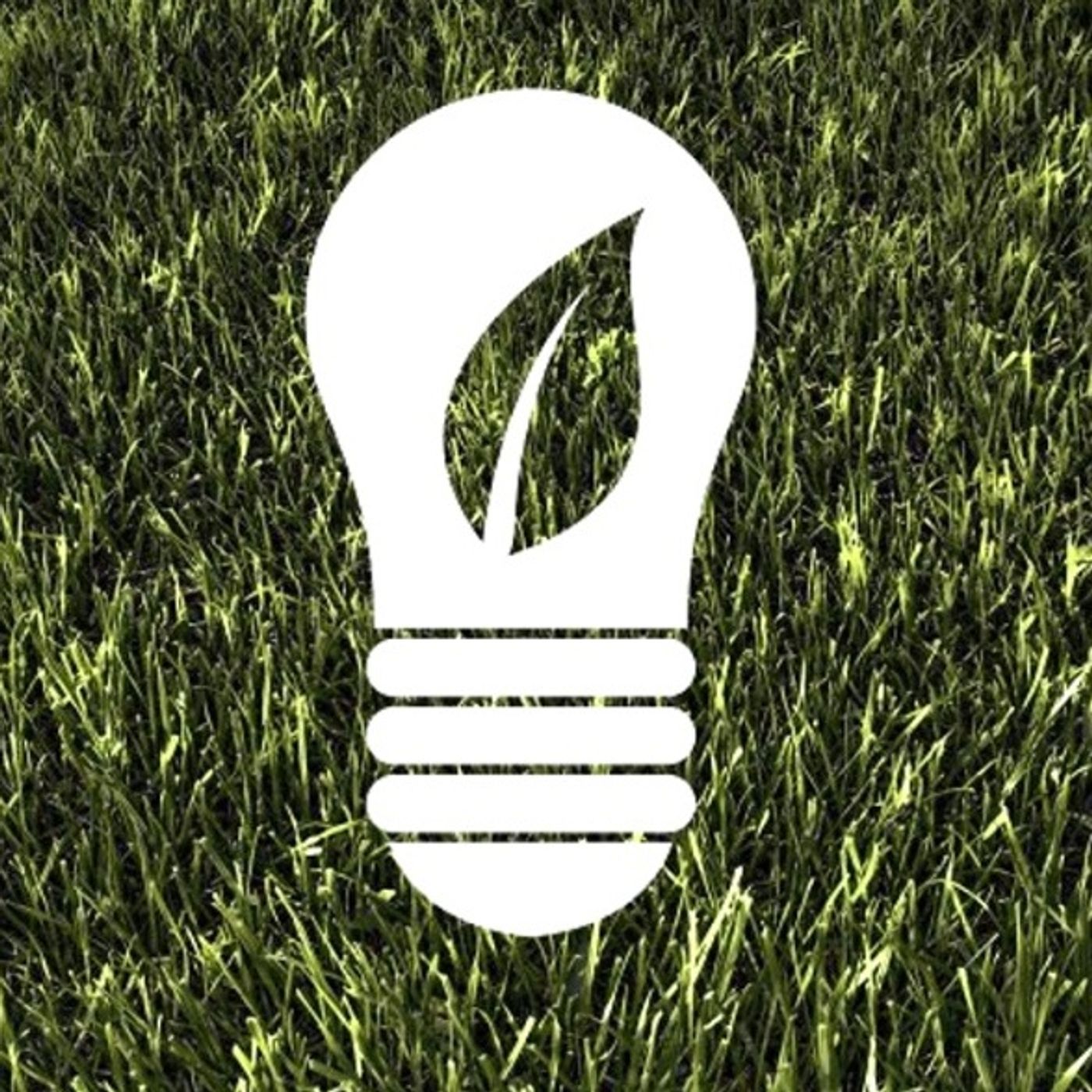 Participación social