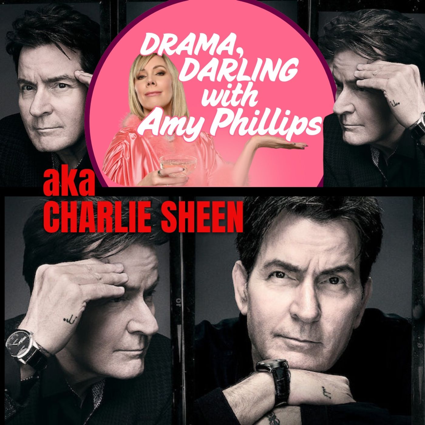 🐅 Aka Charlie Sheen Documentary Recap