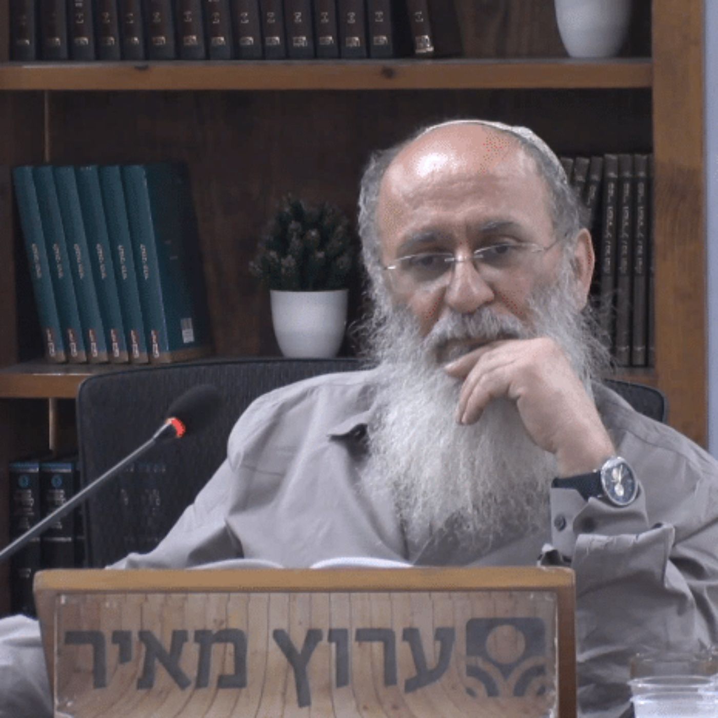 המאמץ ההתחלתי ללימוד התורה הוא רכישת מידת הענווה שהיא הכרחית episode artwork